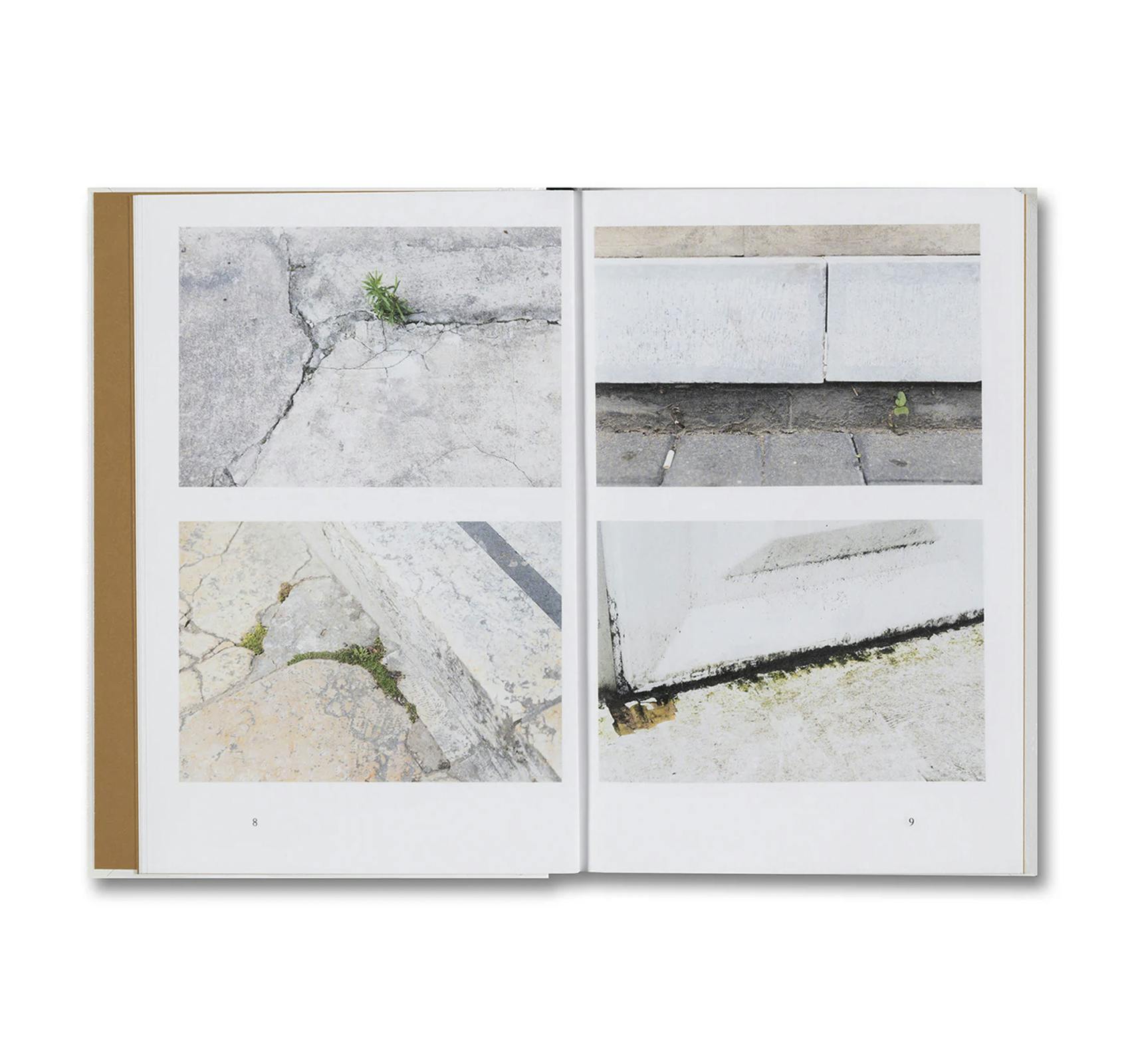 WEEDS: A GERMINATING THEORY