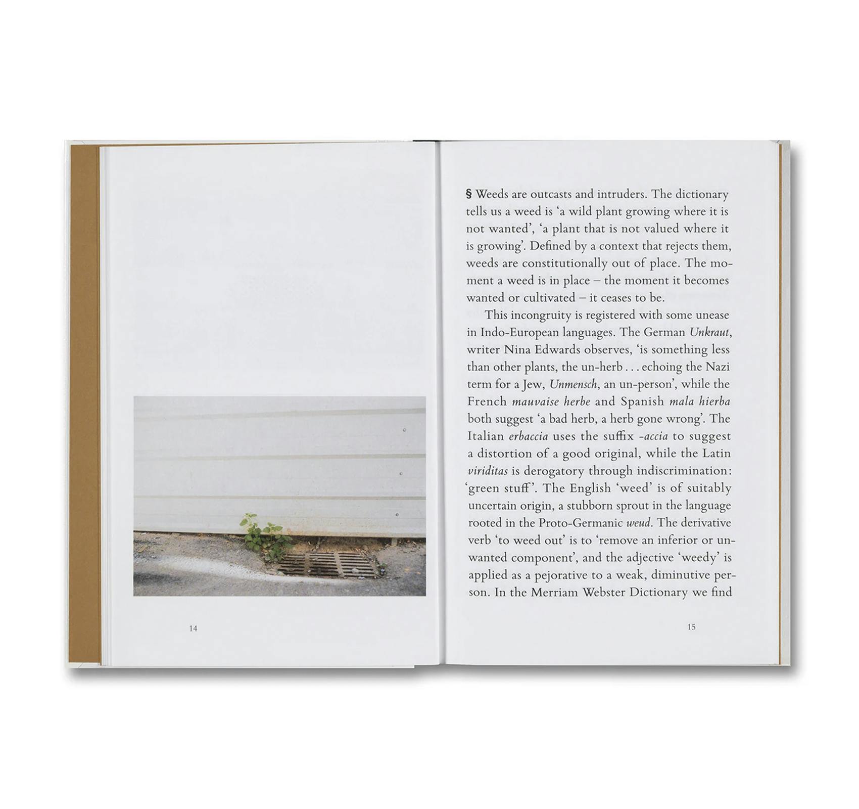 WEEDS: A GERMINATING THEORY