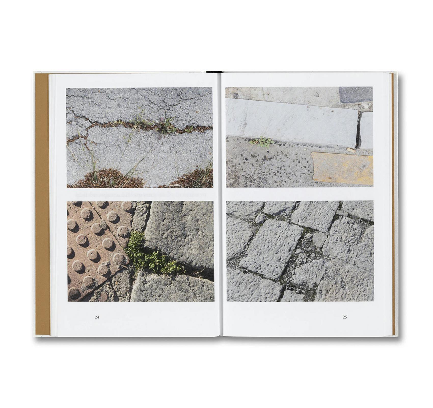 WEEDS: A GERMINATING THEORY