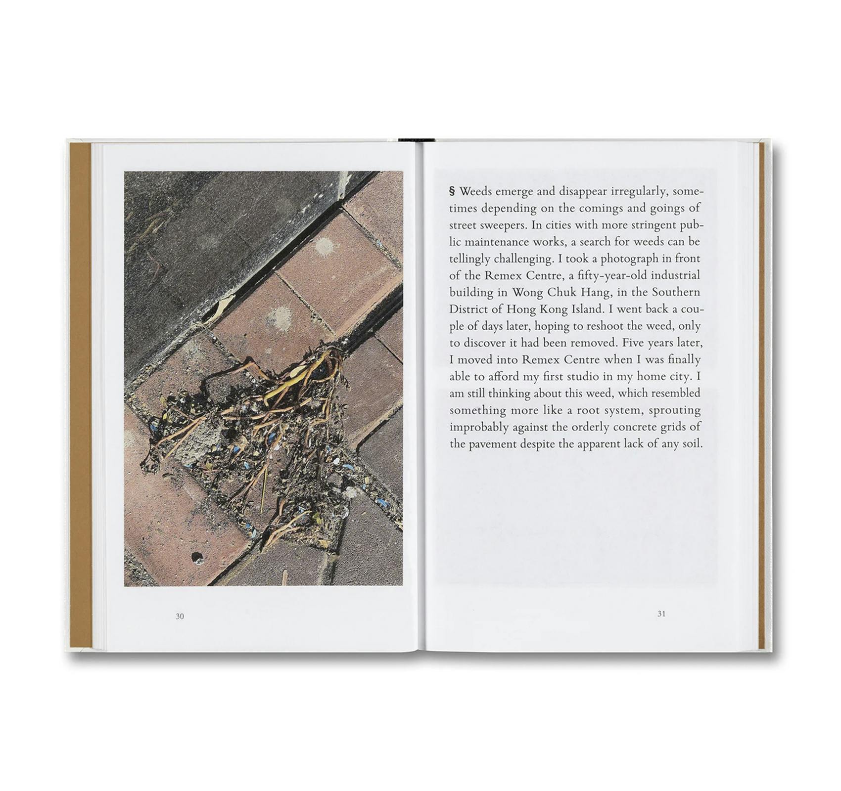 WEEDS: A GERMINATING THEORY