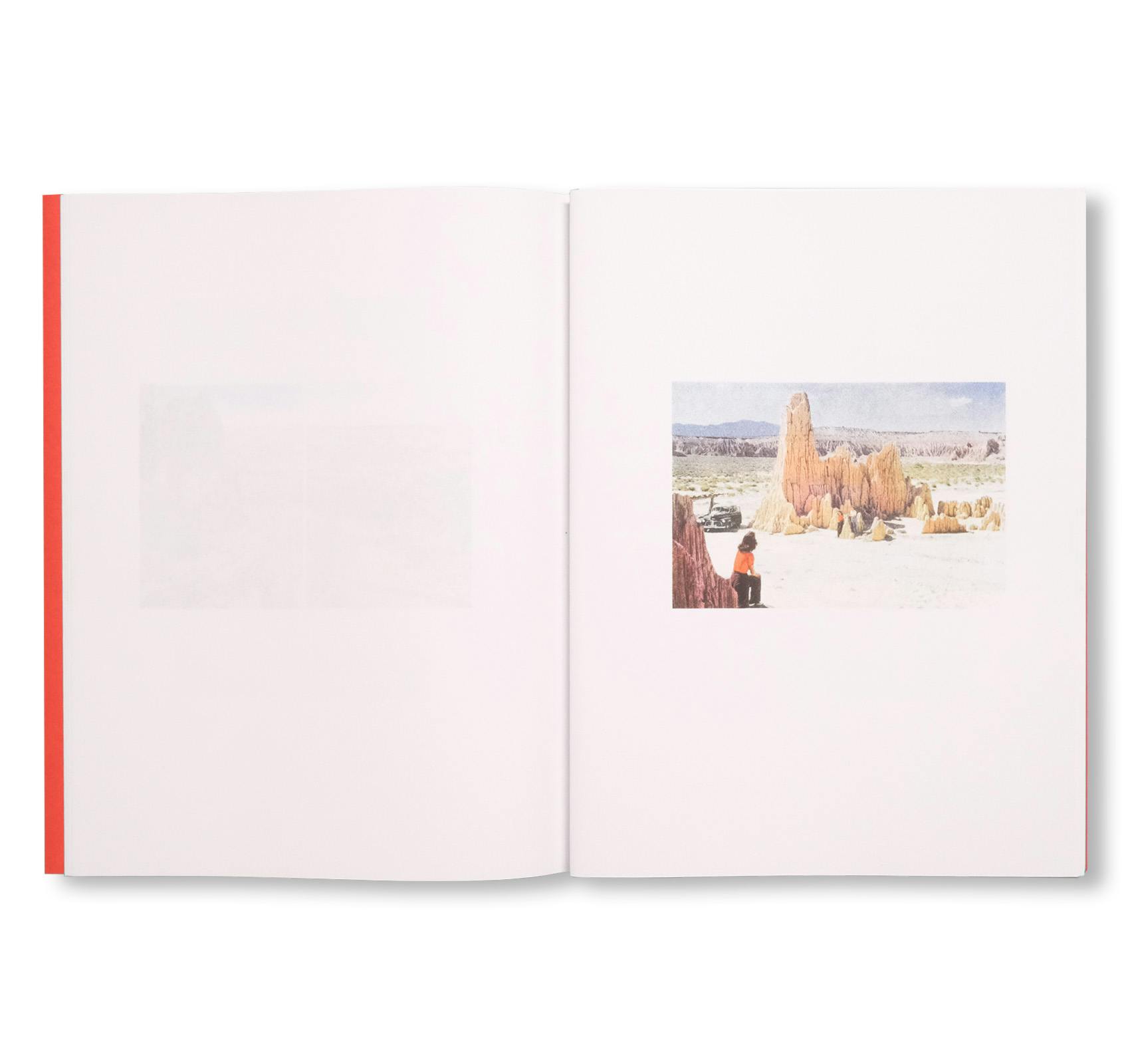 COLOUR THEORY [SIGNED]