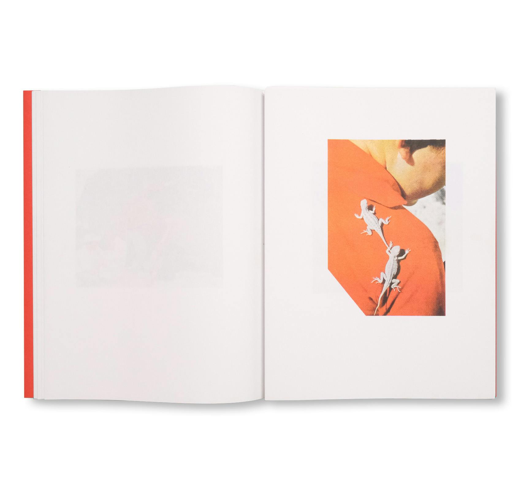 COLOUR THEORY [SIGNED]