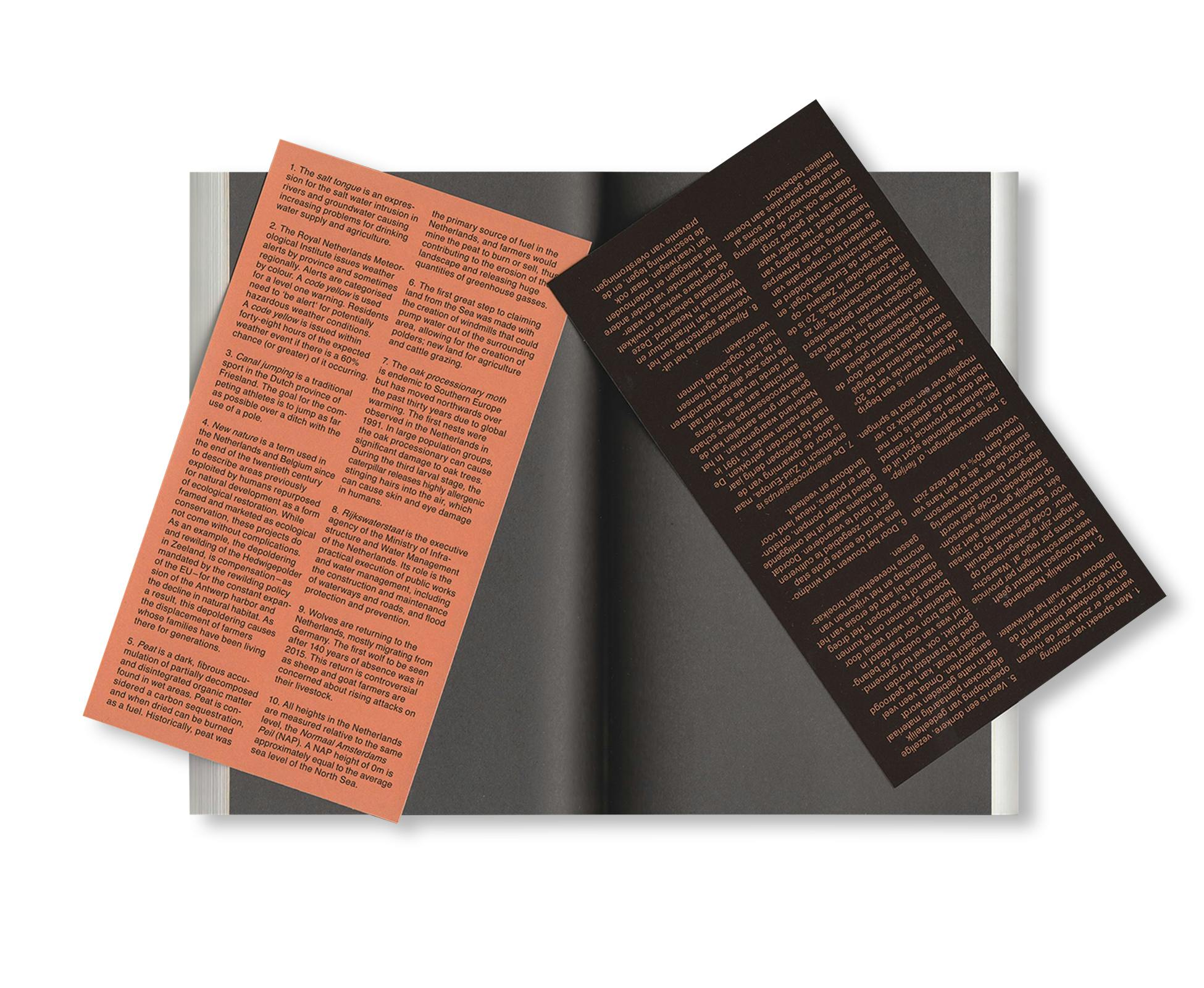 SCENES FROM THE POLDER WESTERN