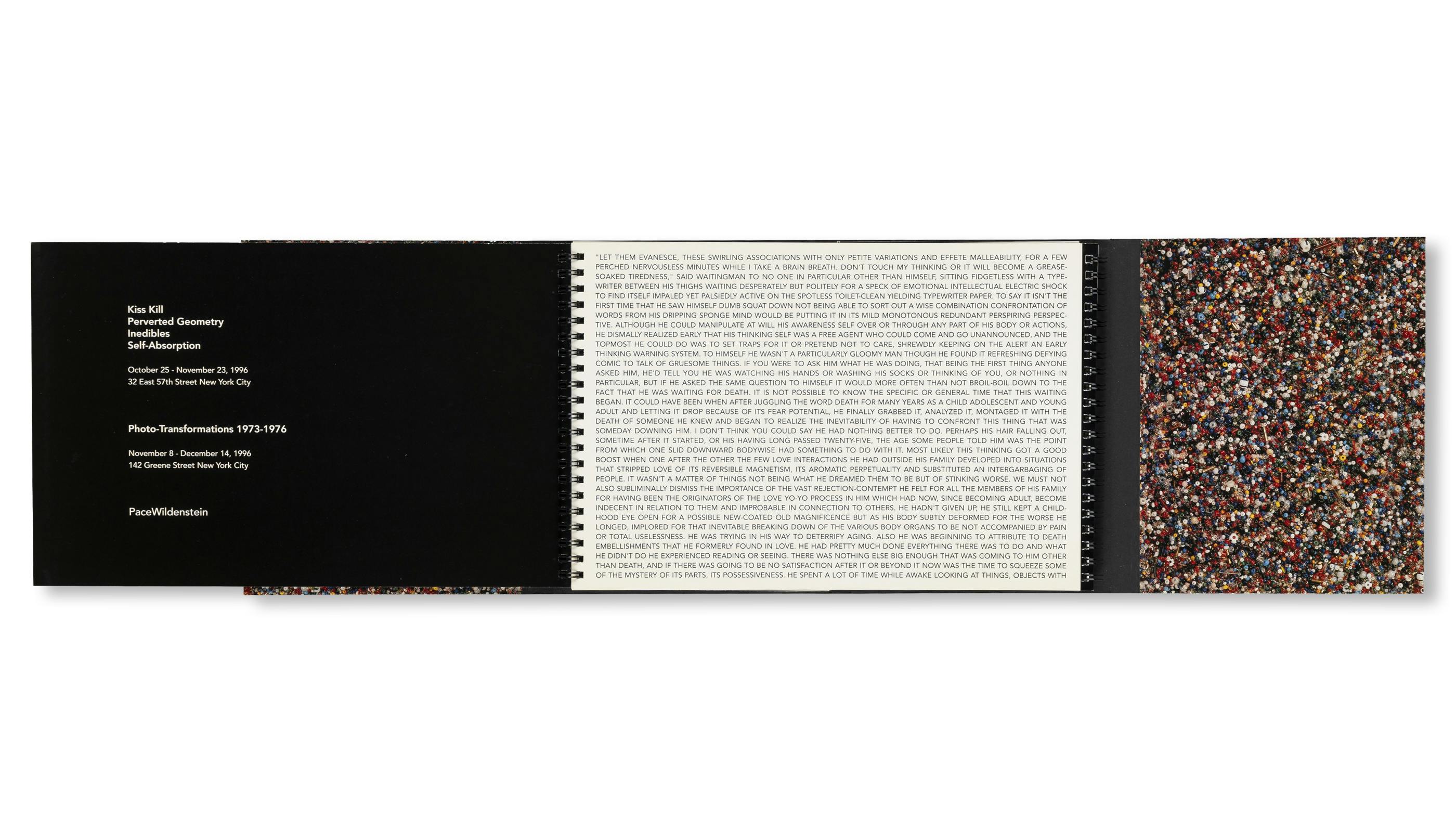 KISS KILL, PERVERTED GEOMETRY, INEDIBLES