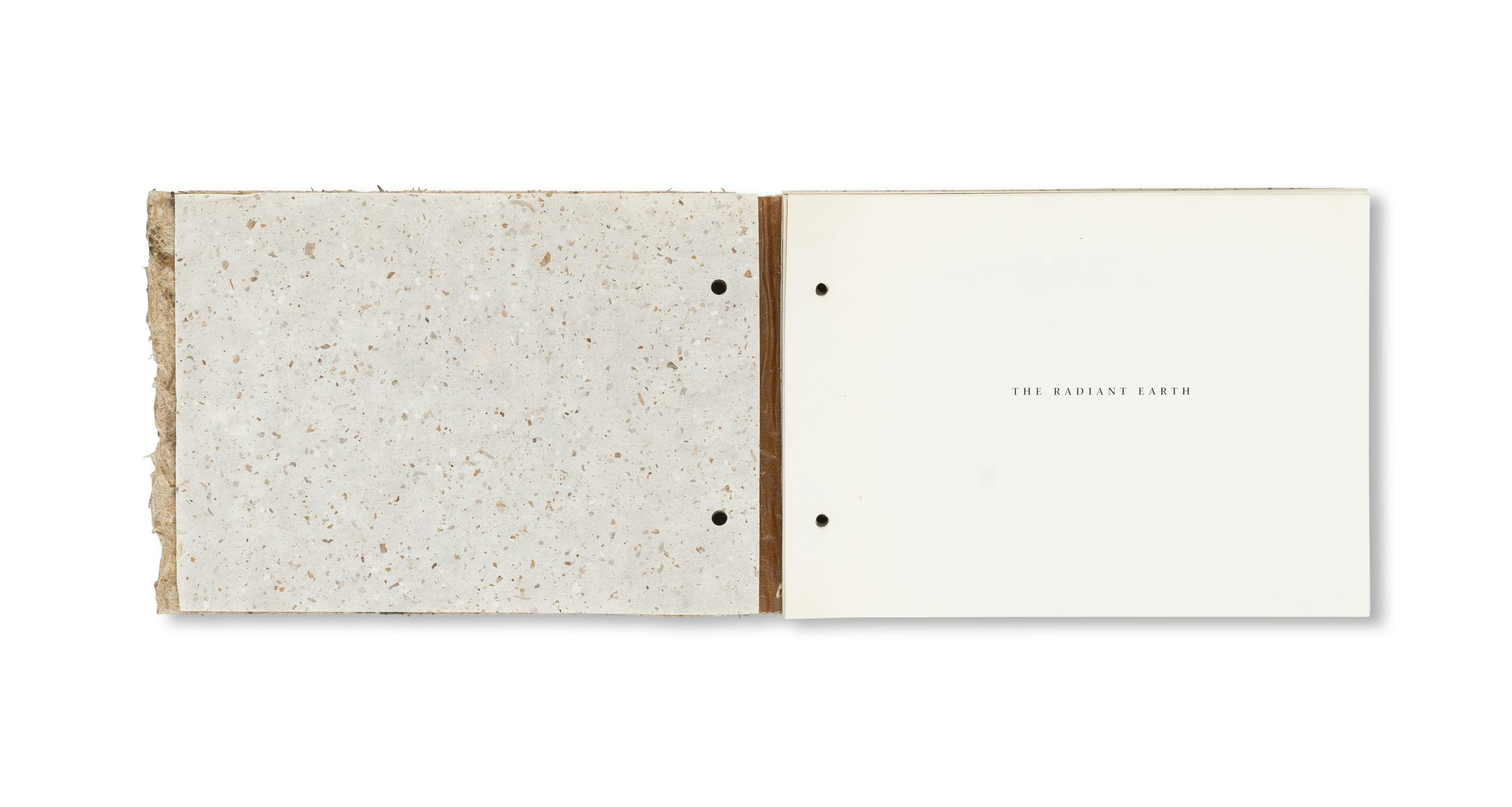 THE RADIANT EARTH [COVER B]