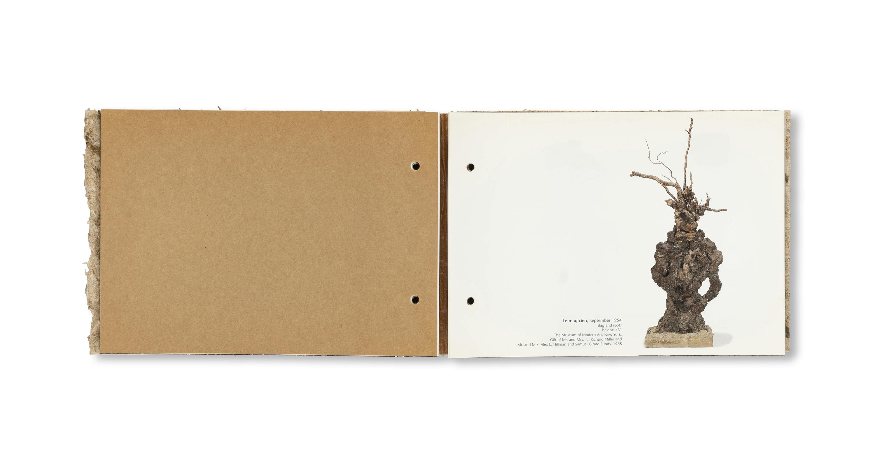 THE RADIANT EARTH [COVER B]