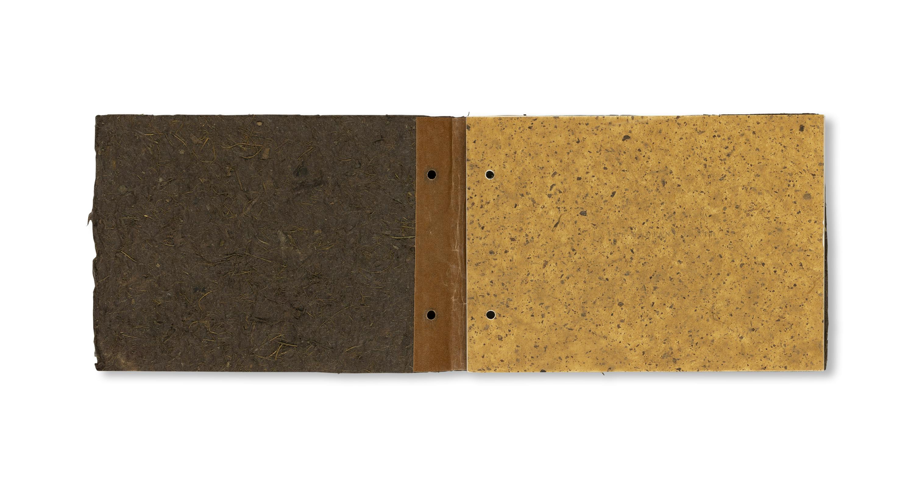 THE RADIANT EARTH [COVER B]