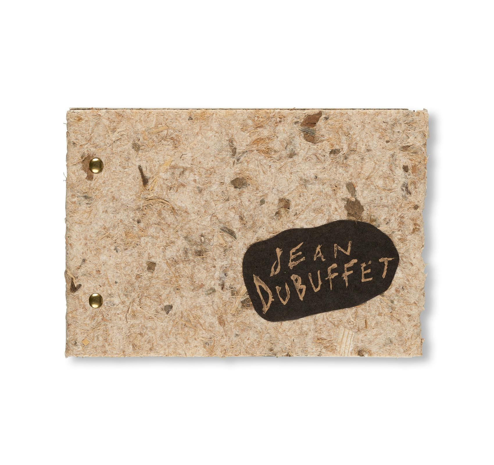 THE RADIANT EARTH [COVER A]