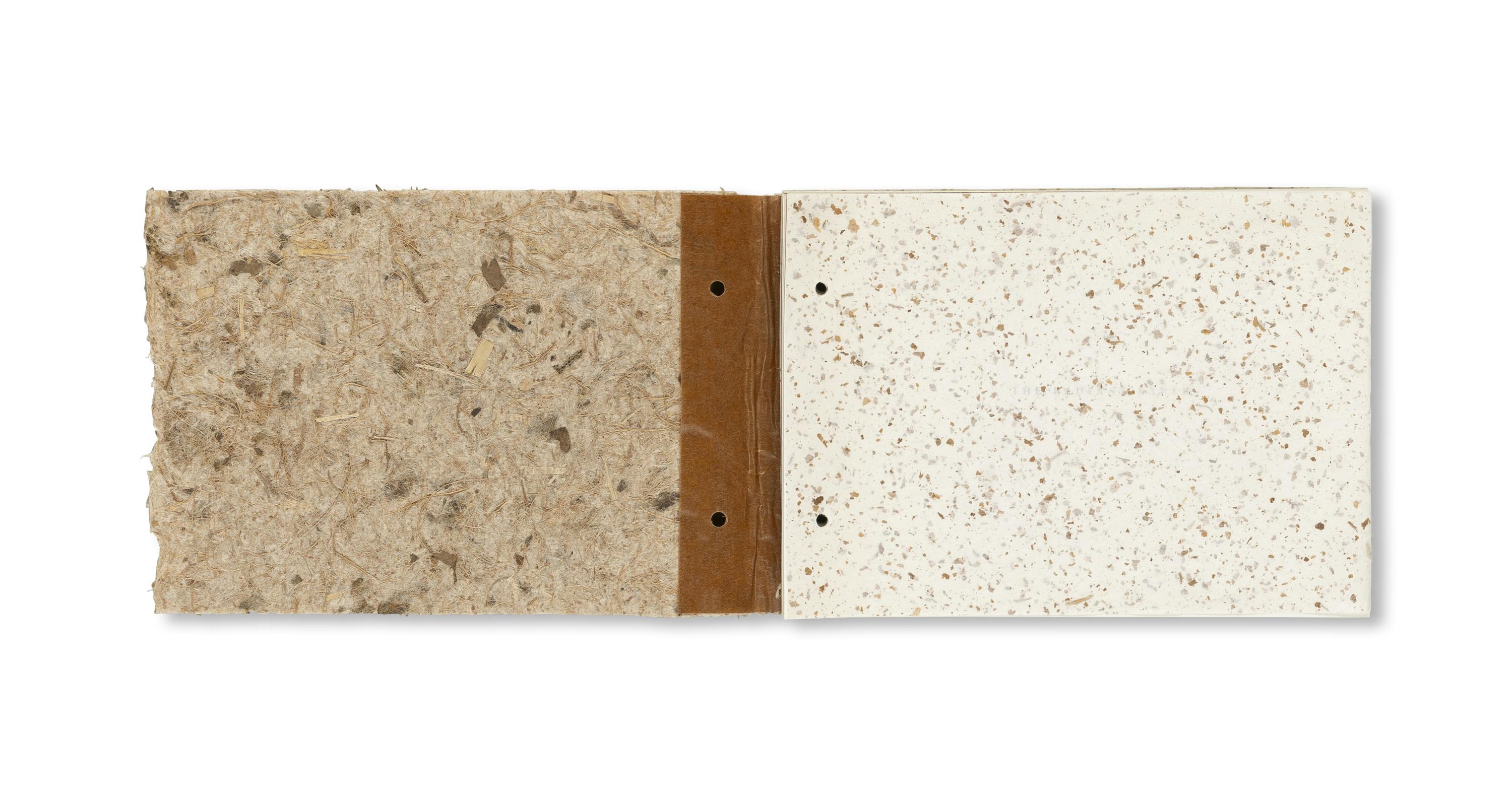 THE RADIANT EARTH [COVER A]