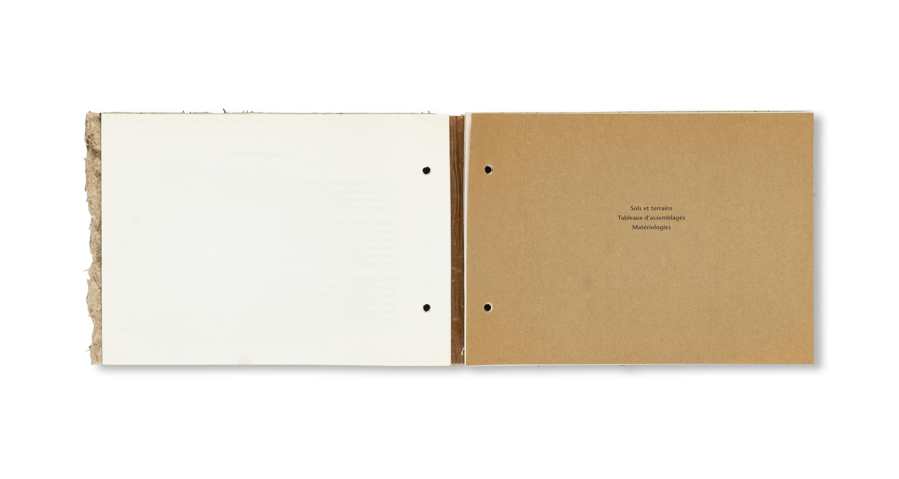 THE RADIANT EARTH [COVER A]