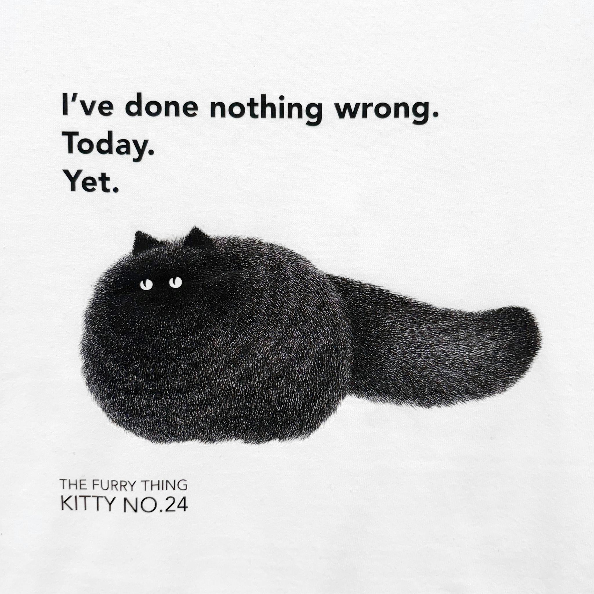 Tシャツ / Kitty No.24  Lサイズ