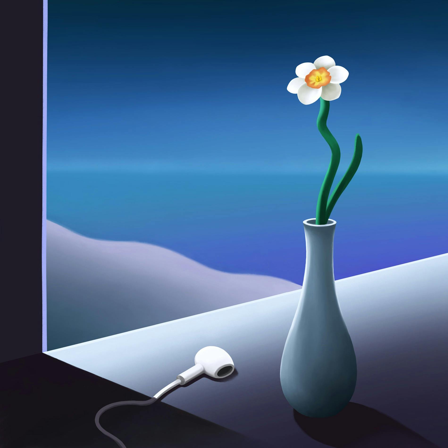 冷たい部屋、咲いた花