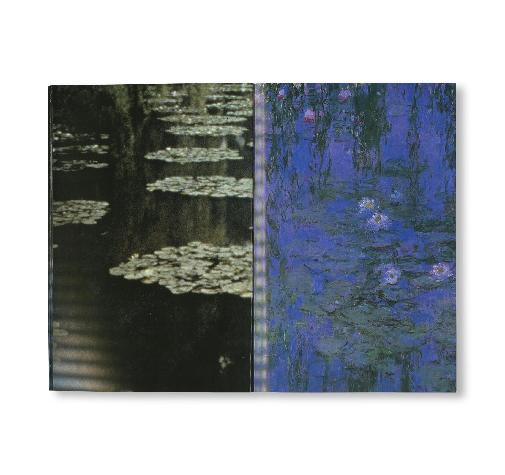 MONET: THE ULTIMATE IMPRESSIONIST (NEW HORIZONS)