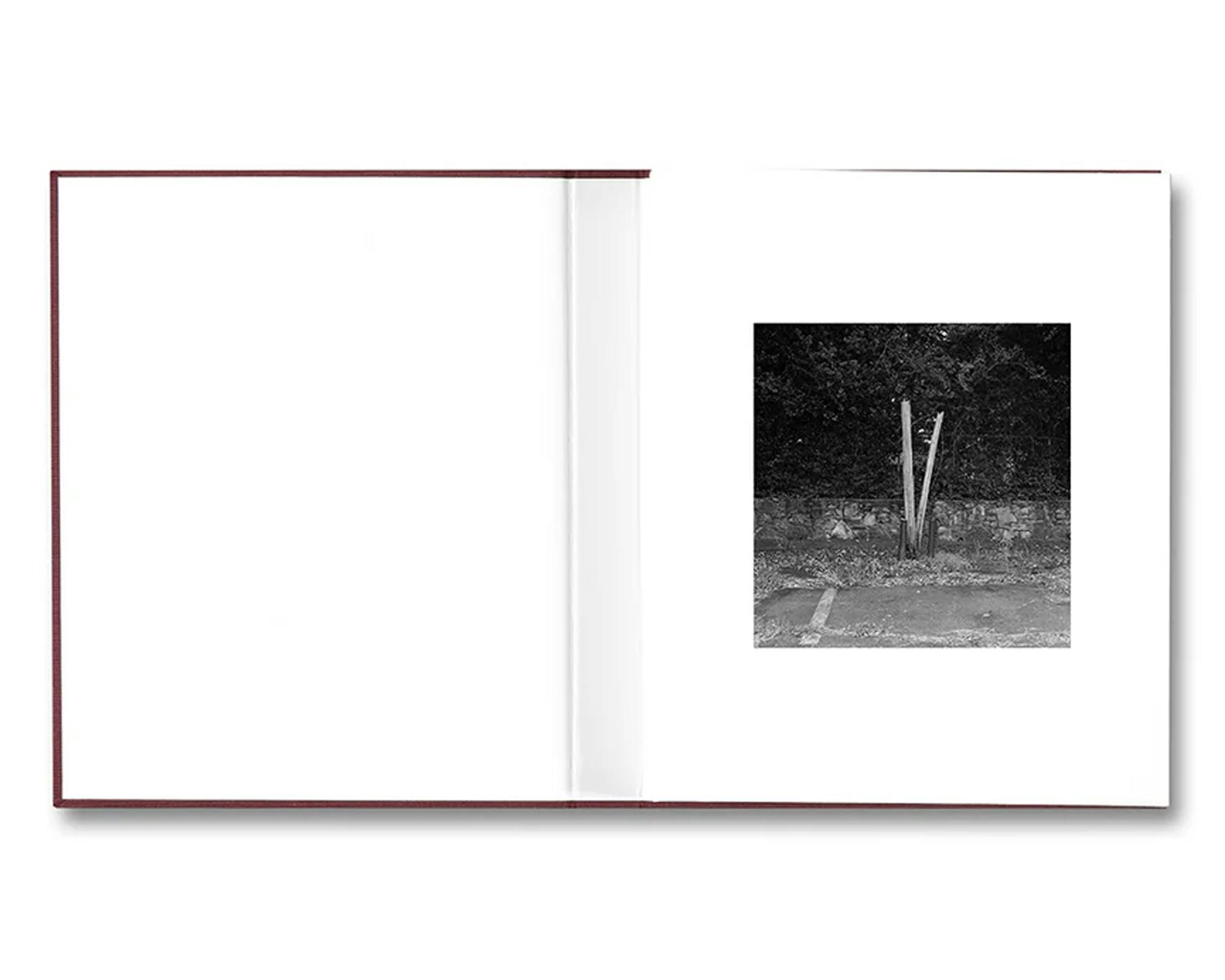 [予約受付中] VISCIN