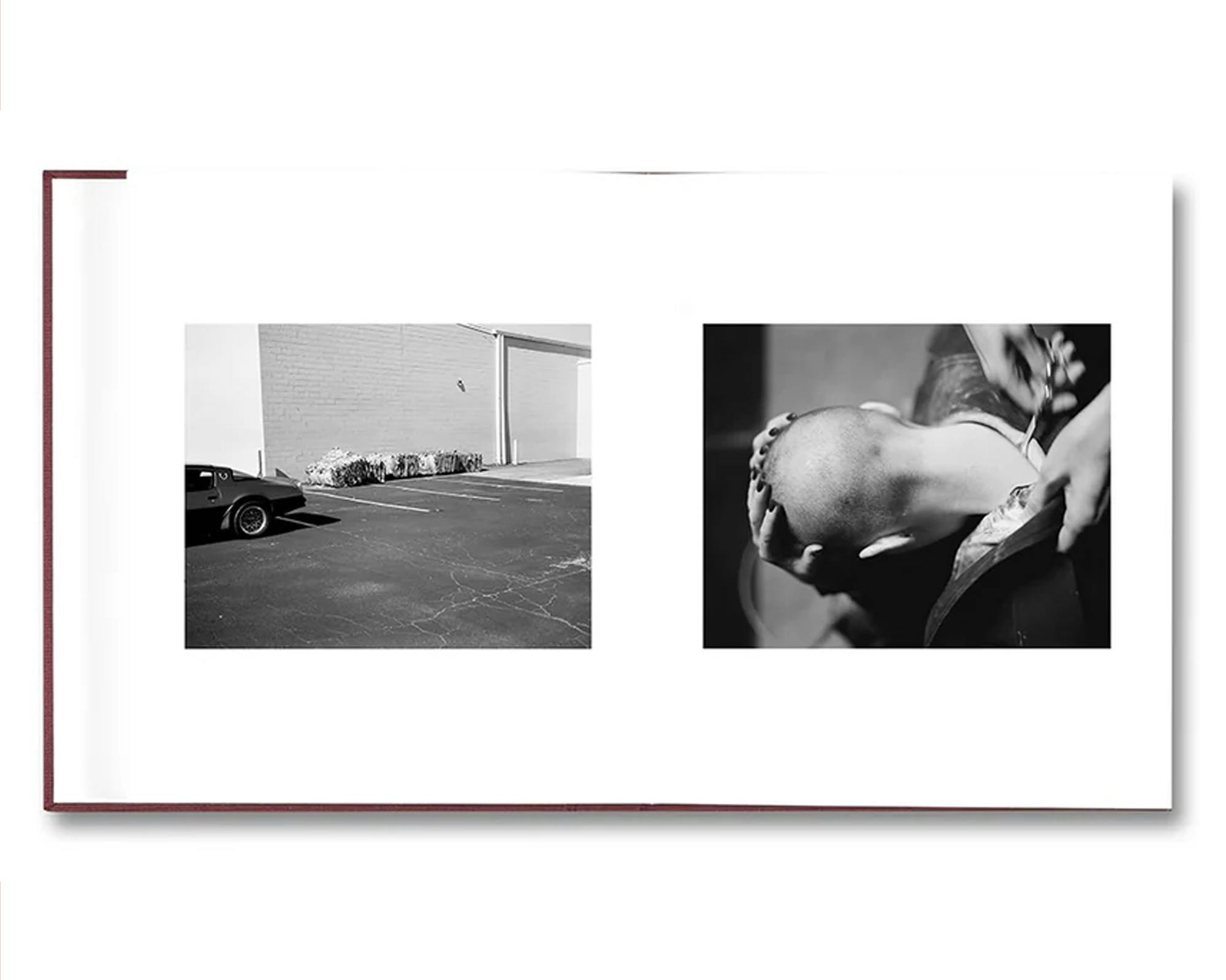 [予約受付中] VISCIN