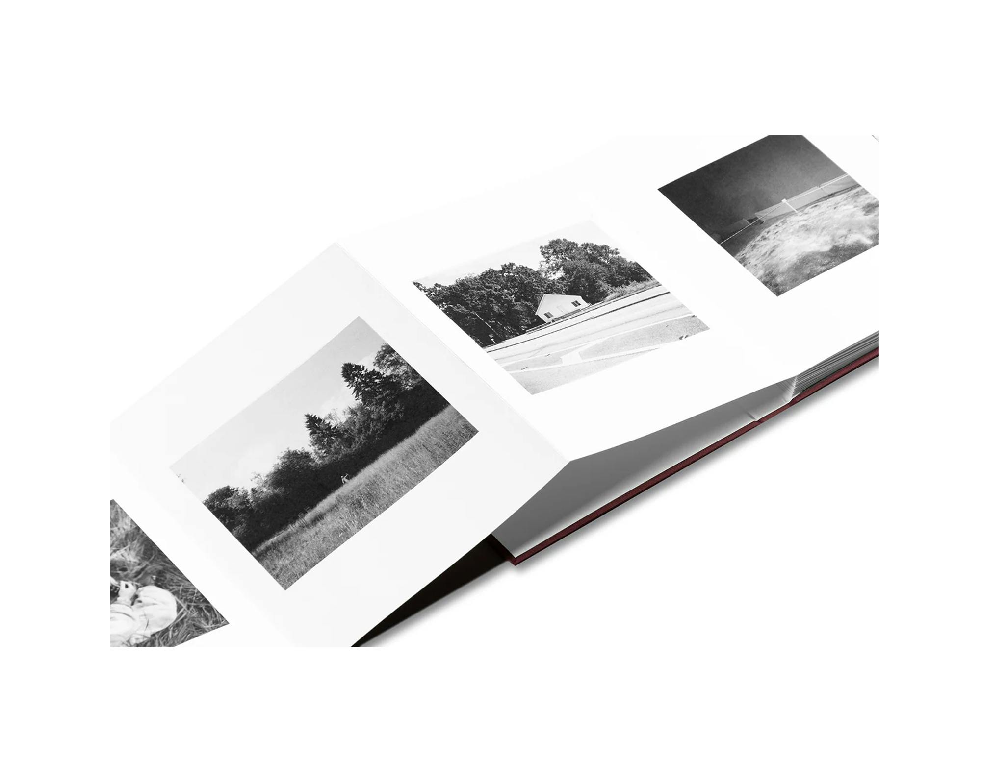 [予約受付中] VISCIN