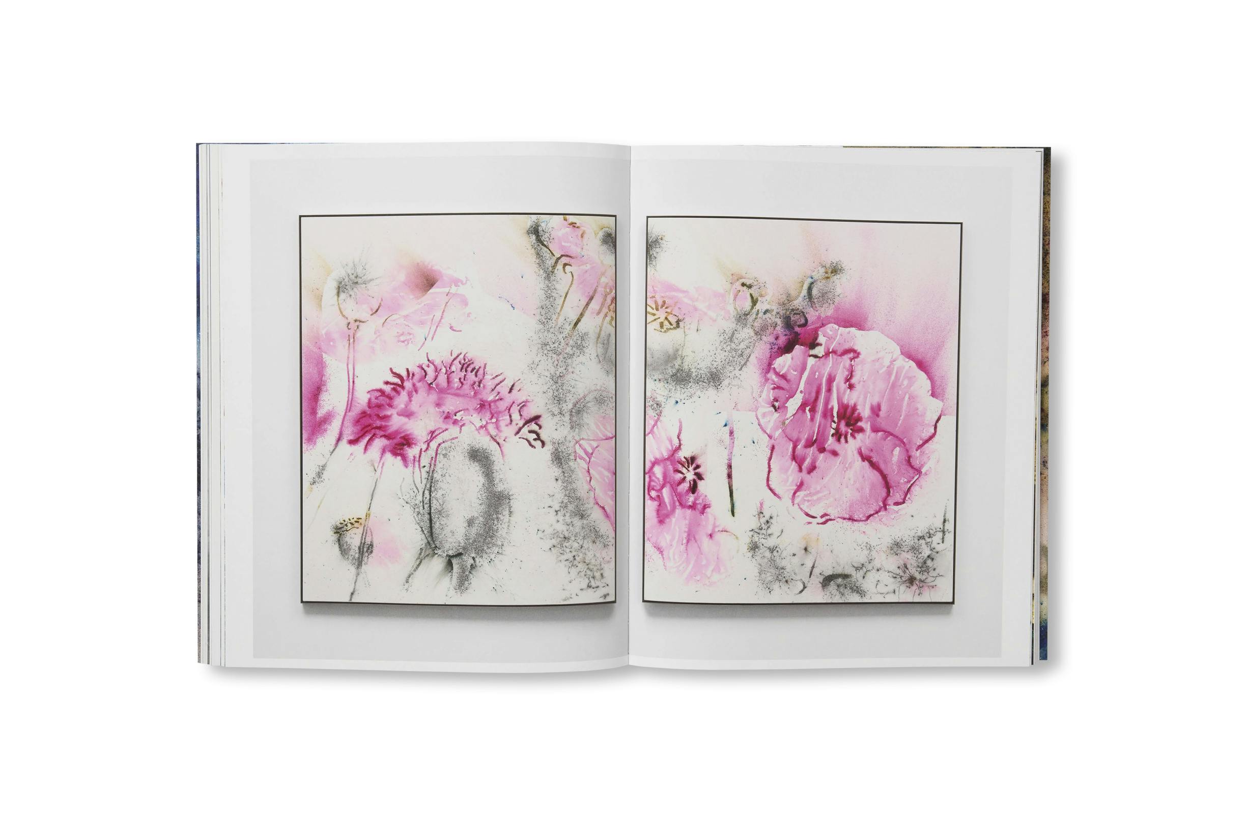 GUNPOWDER AND ABSTRACTION 2015-2025