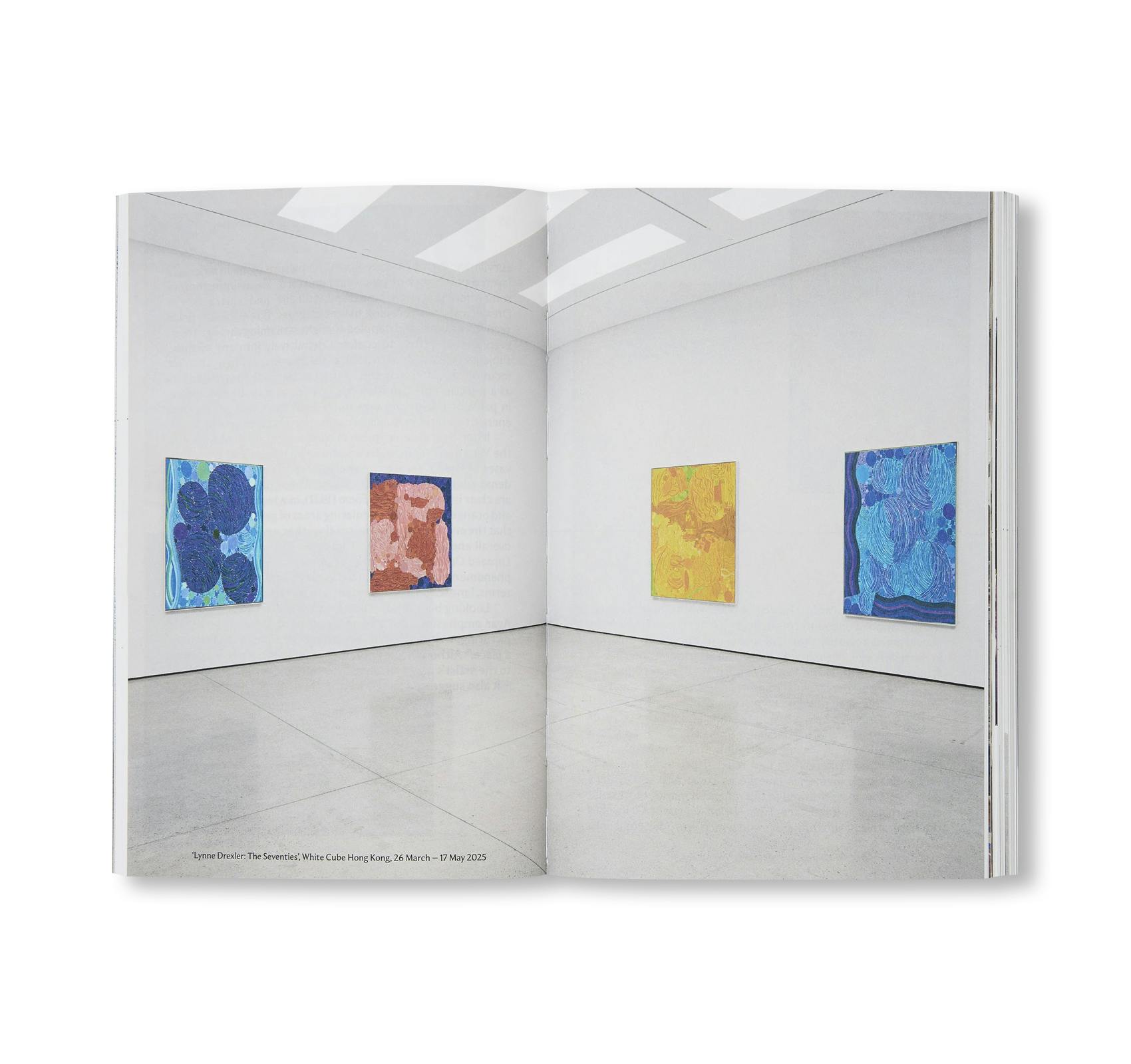 WHITE CUBE COMPANION (2025)