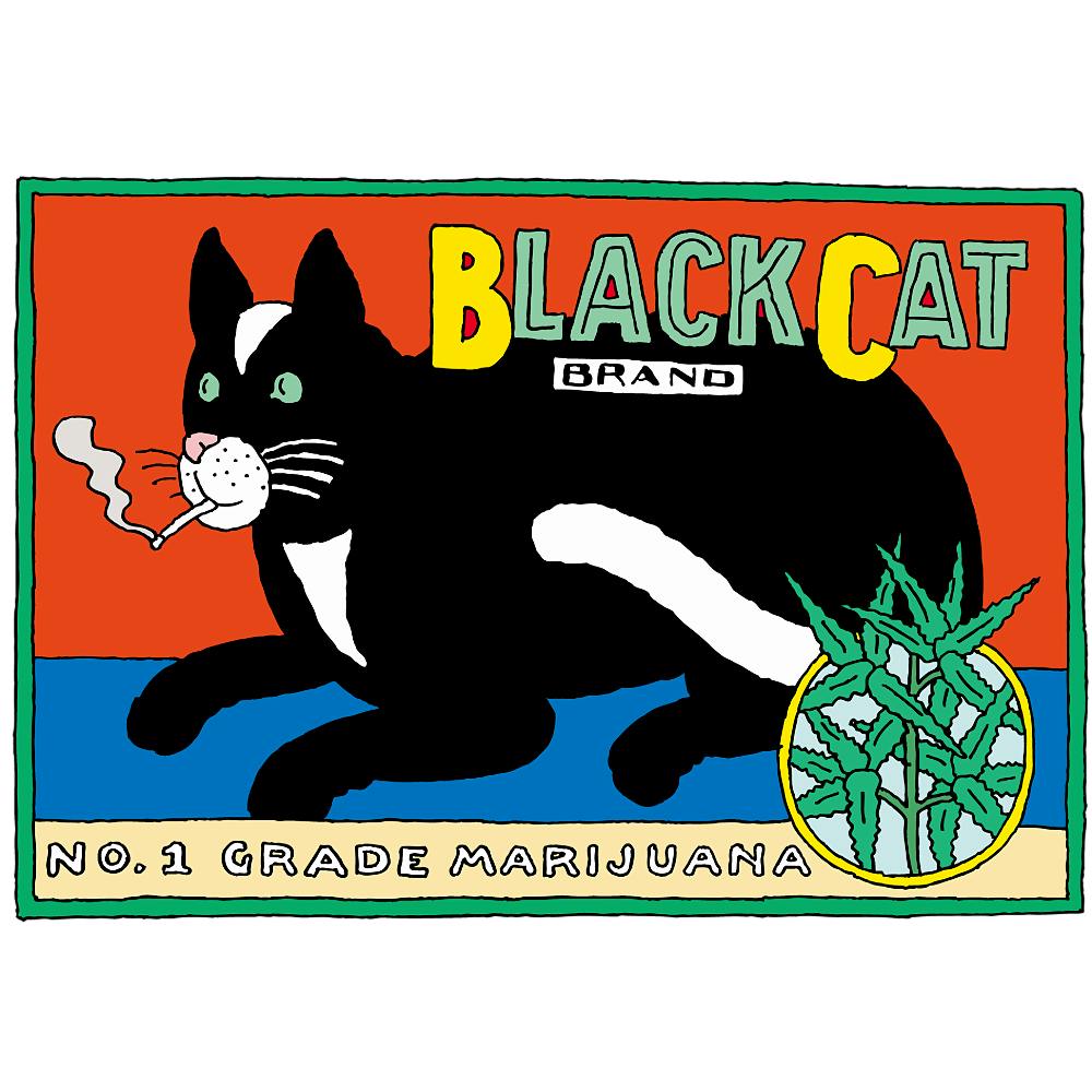 PushPin by Seymour Chwast × ROOTOTE / Blackcat TALL / 002801