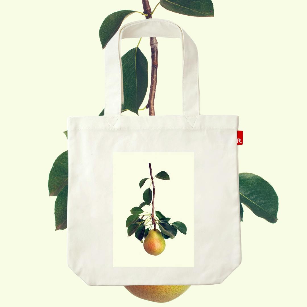 塩原真澄 / Pyrus communis L. 'Chapin' / 10802