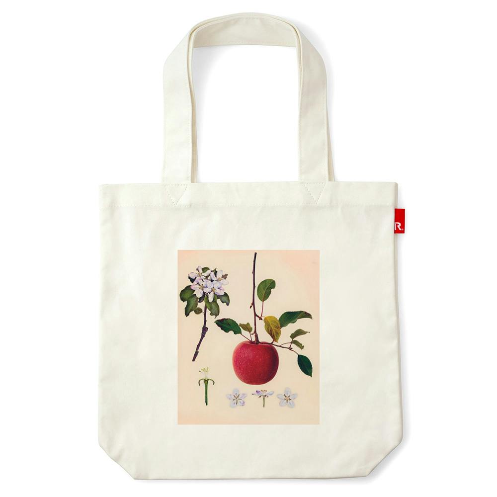 塩原真澄 / Malus pumila Mill. 'Fuji' / 10803