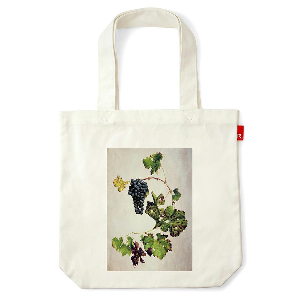 塩原真澄 / Vitis vinifera 'Cabernet Sauvignon' / 10804