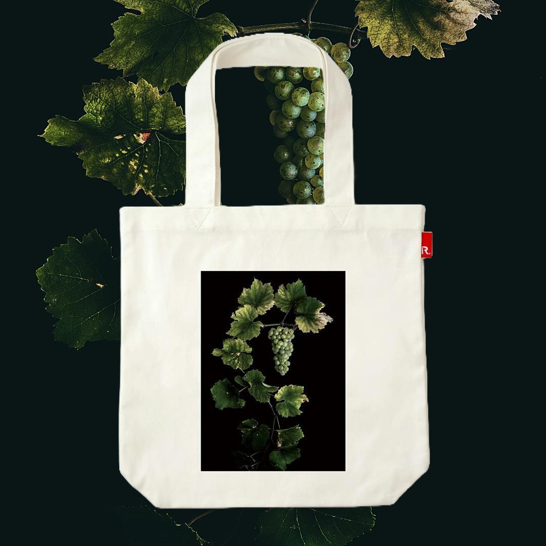 塩原真澄 / Vitis vinifera 'Riesling' / 10806