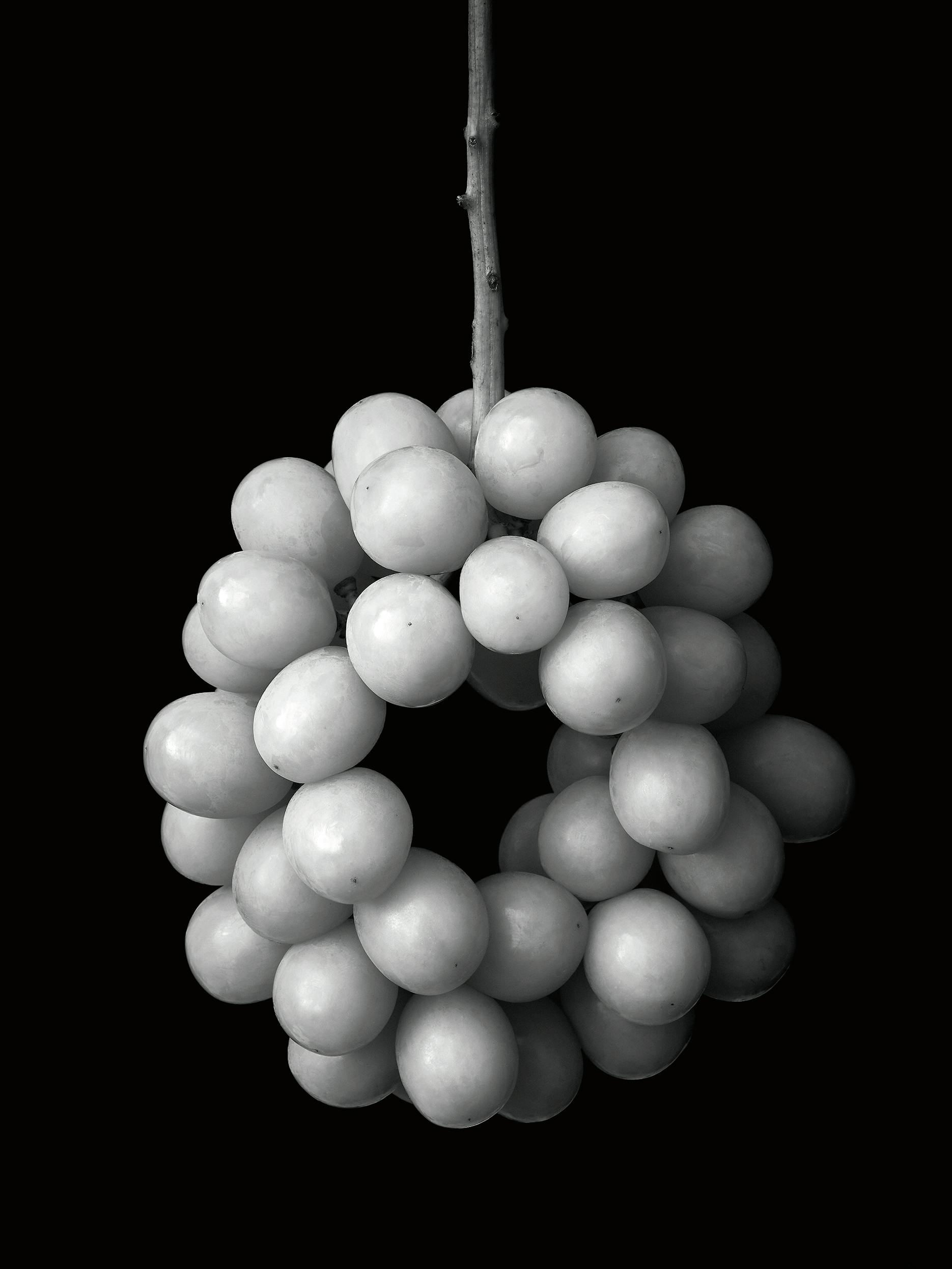 塩原真澄 / Wreathh of Grapes / 10807