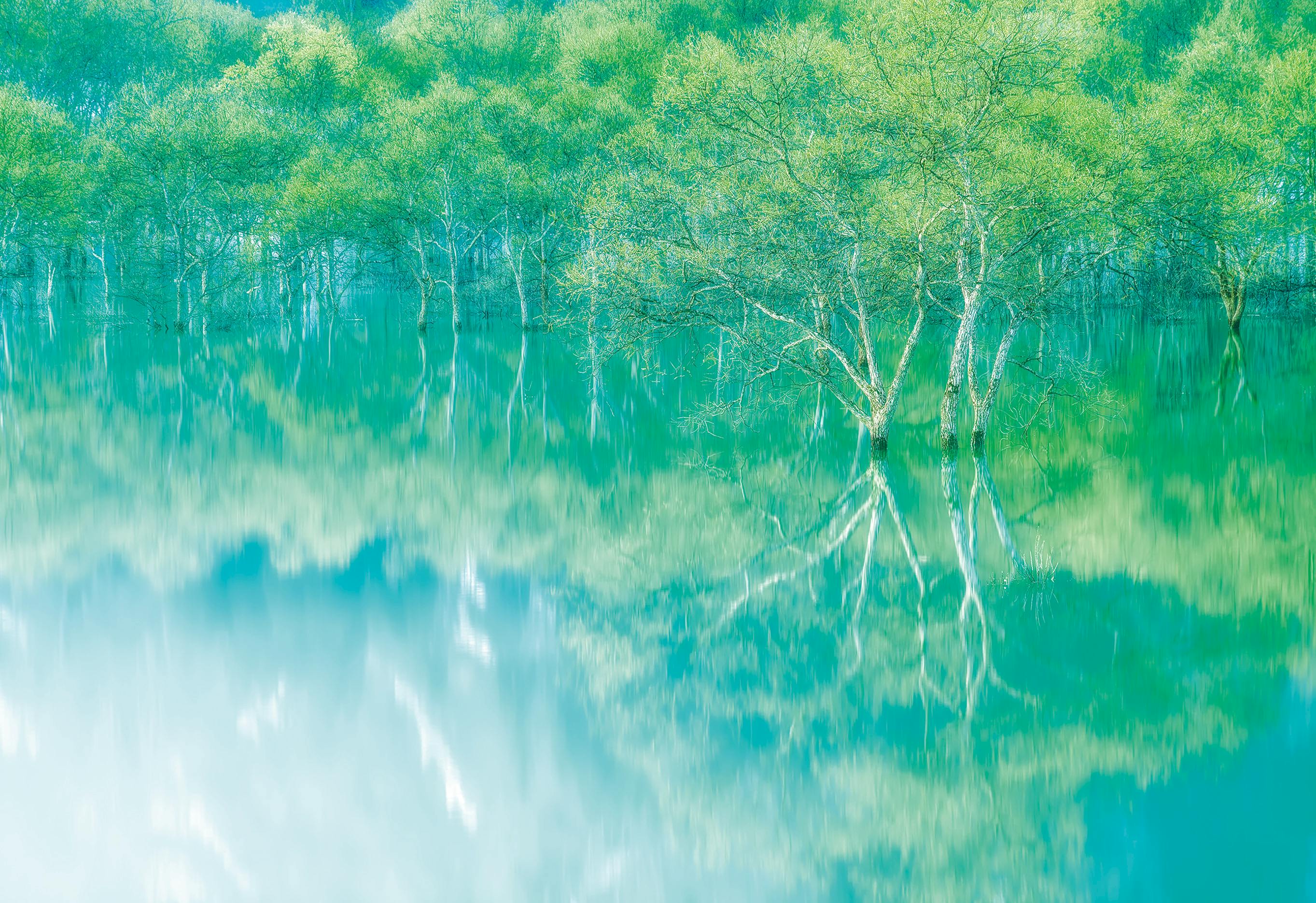 藪崎次郎 / 夢幻 -mugen- ToteBag / 013205