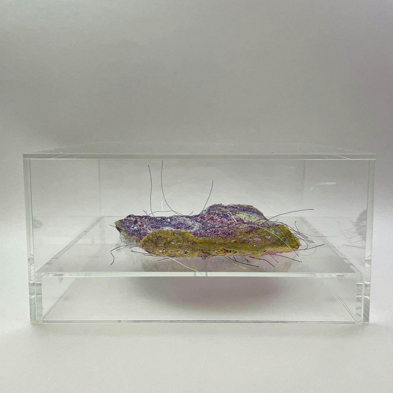 うすく、はじけた