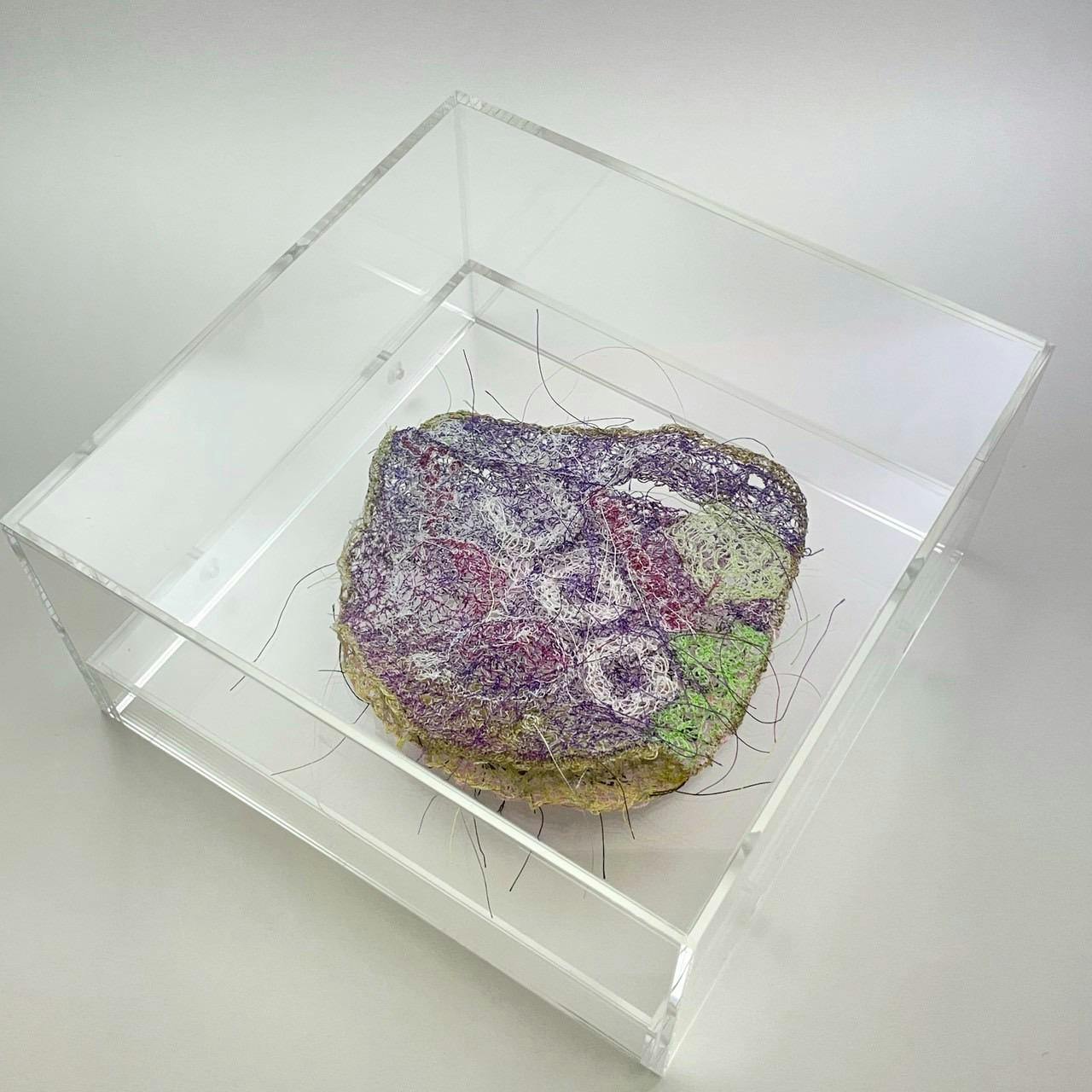 うすく、はじけた