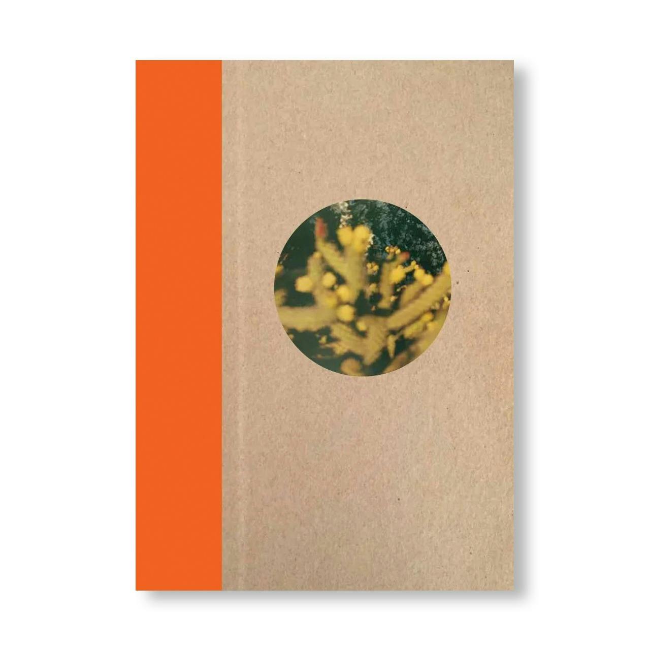 [予約受付中] ONE PICTURE BOOK TWO #51: DESERT DAZE