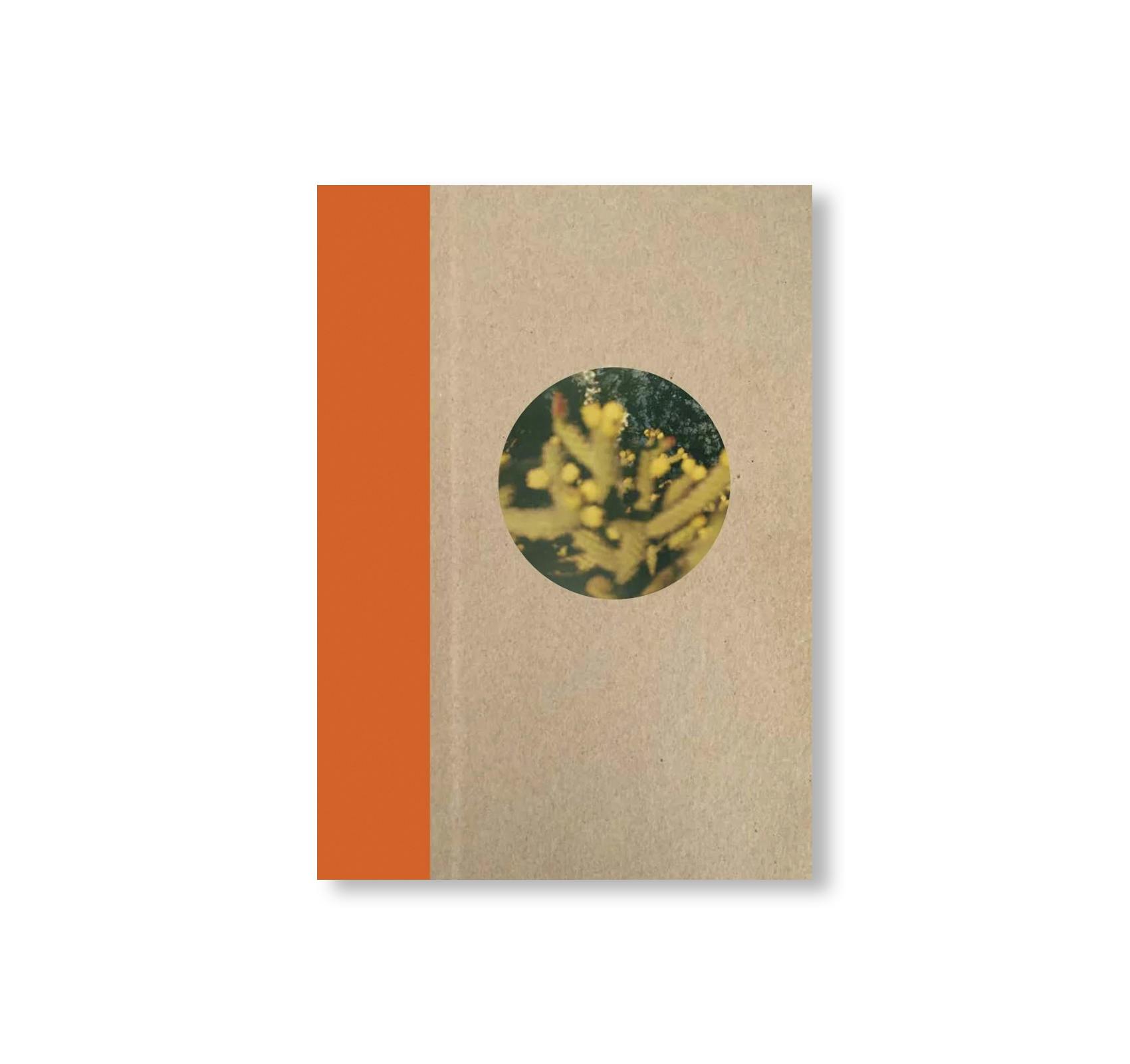 [予約受付中] ONE PICTURE BOOK TWO #51: DESERT DAZE