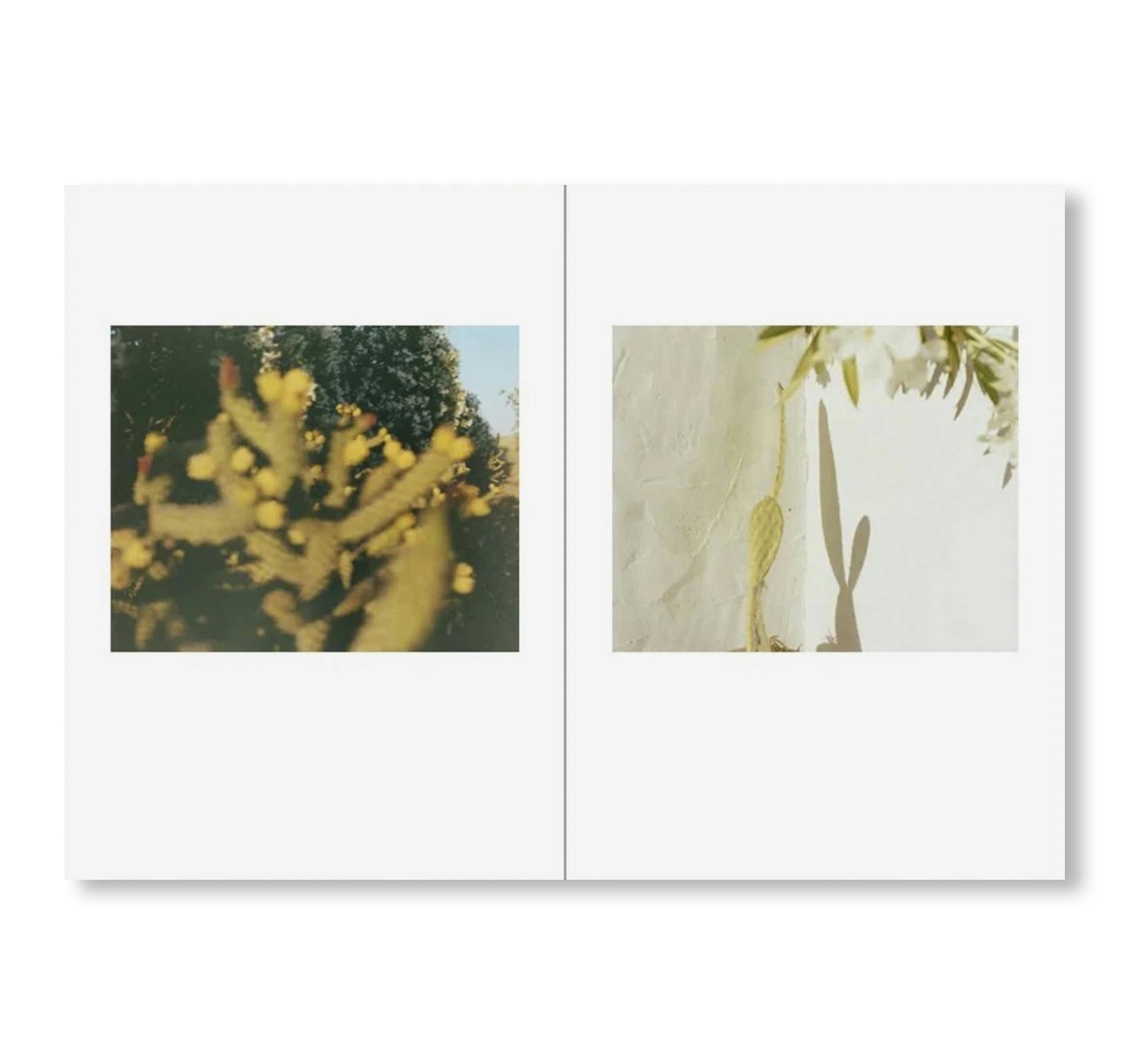 [予約受付中] ONE PICTURE BOOK TWO #51: DESERT DAZE