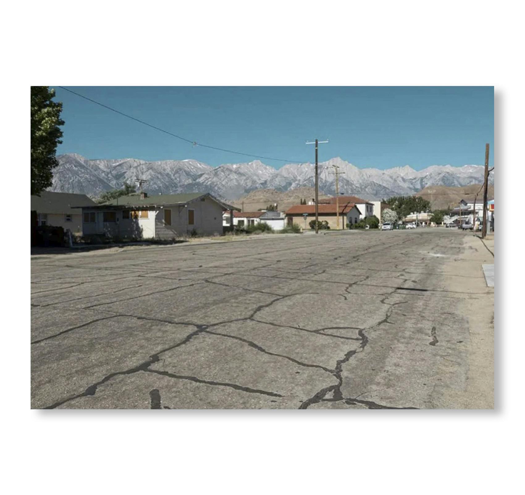 [予約受付中] ONE PICTURE BOOK TWO #52: LONE PINE