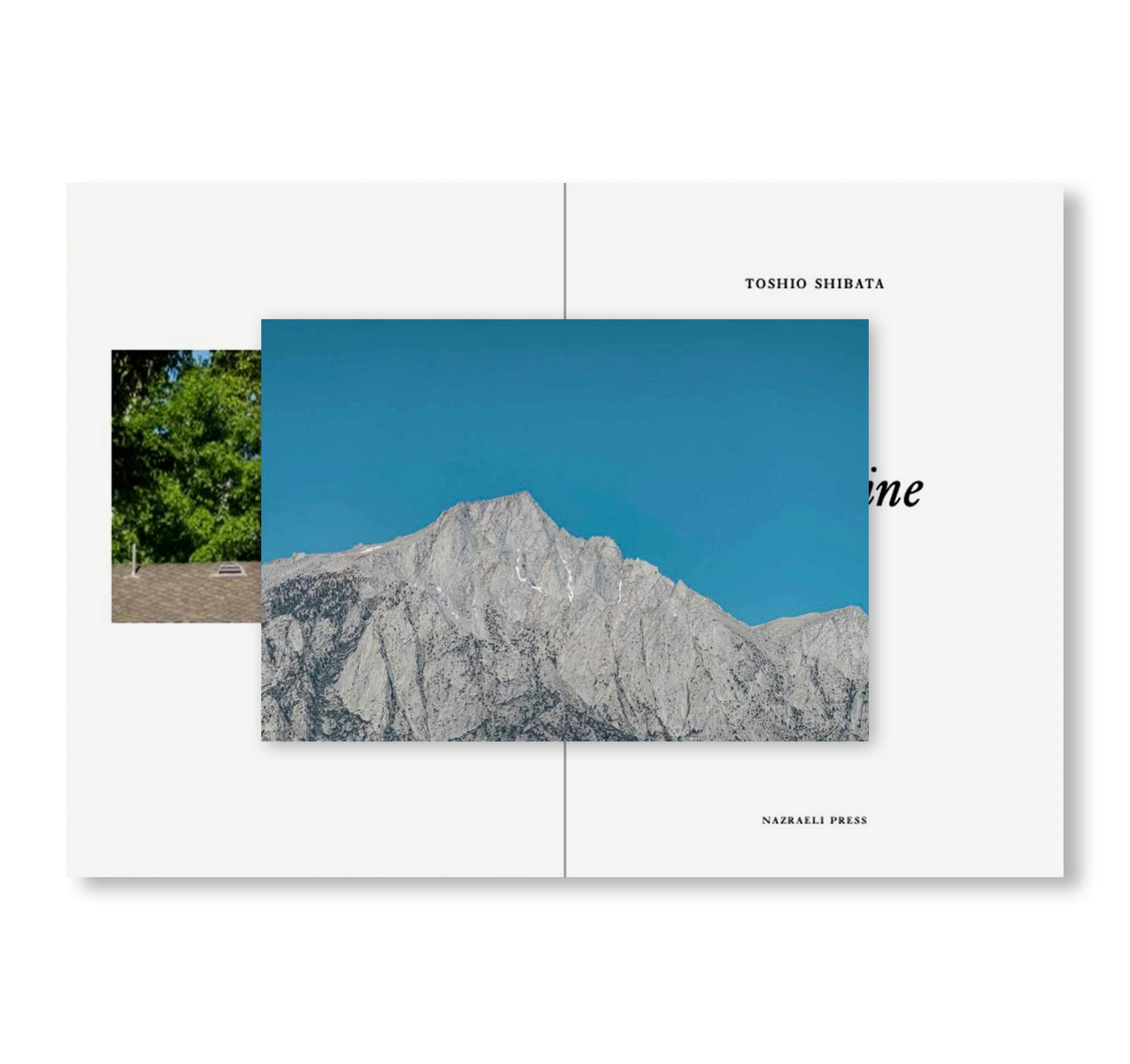 [予約受付中] ONE PICTURE BOOK TWO #52: LONE PINE