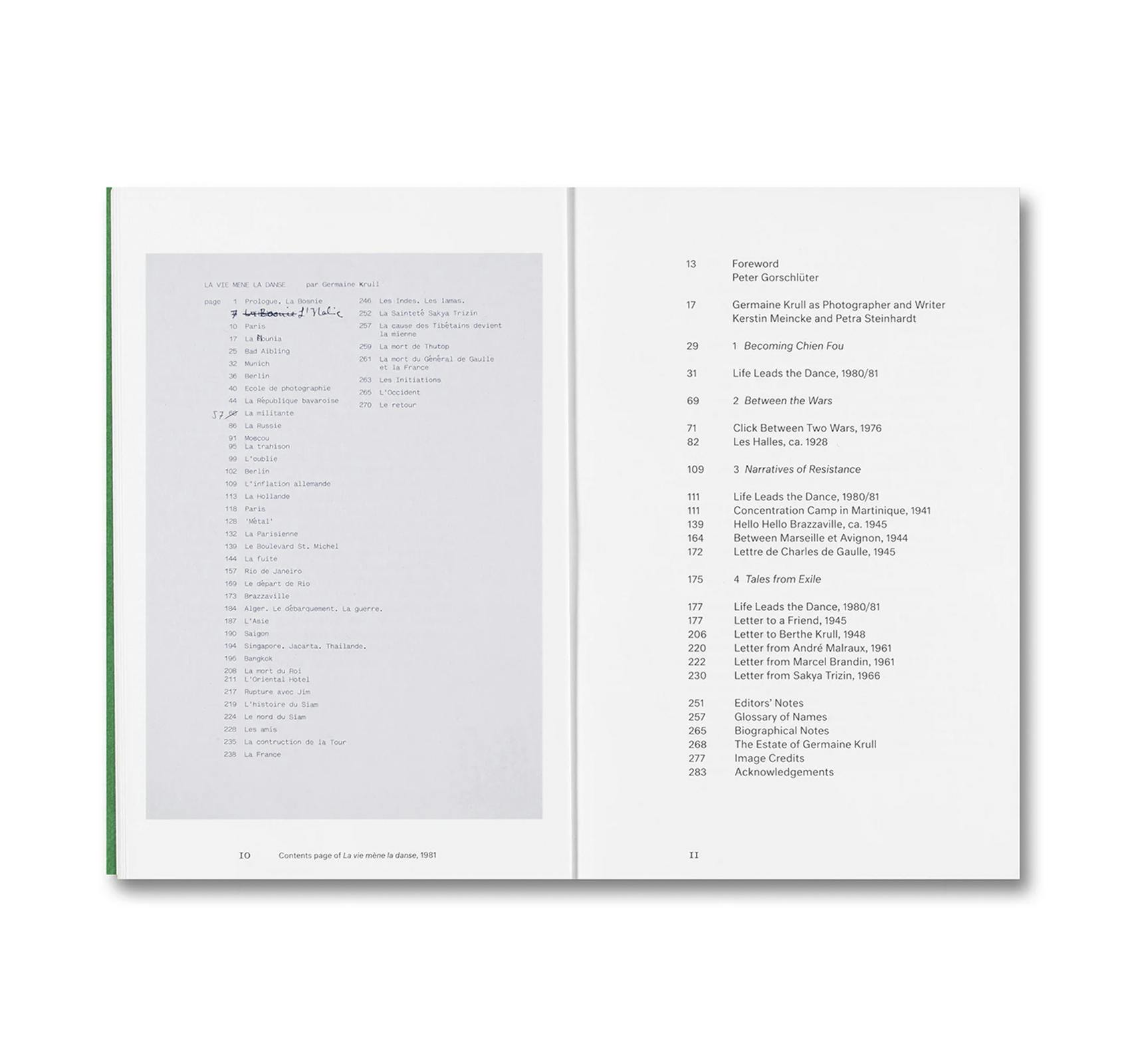 CHIEN FOU: SELECTED WRITINGS [ENGLISH EDITION]