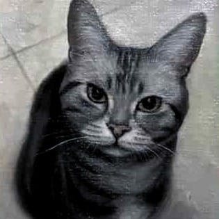 上目遣いをする半蔵