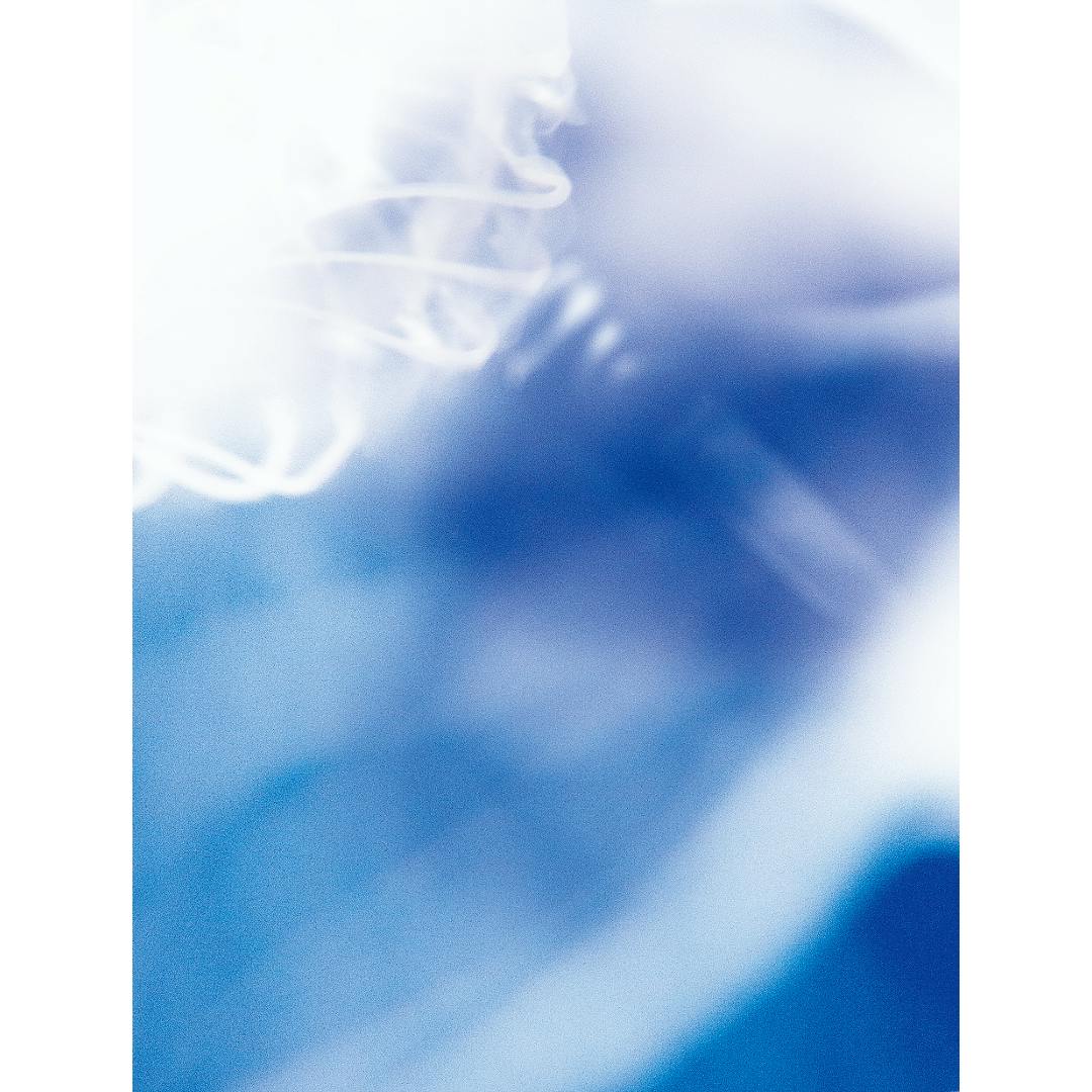 栗棟 美里 / 白日 / 012202