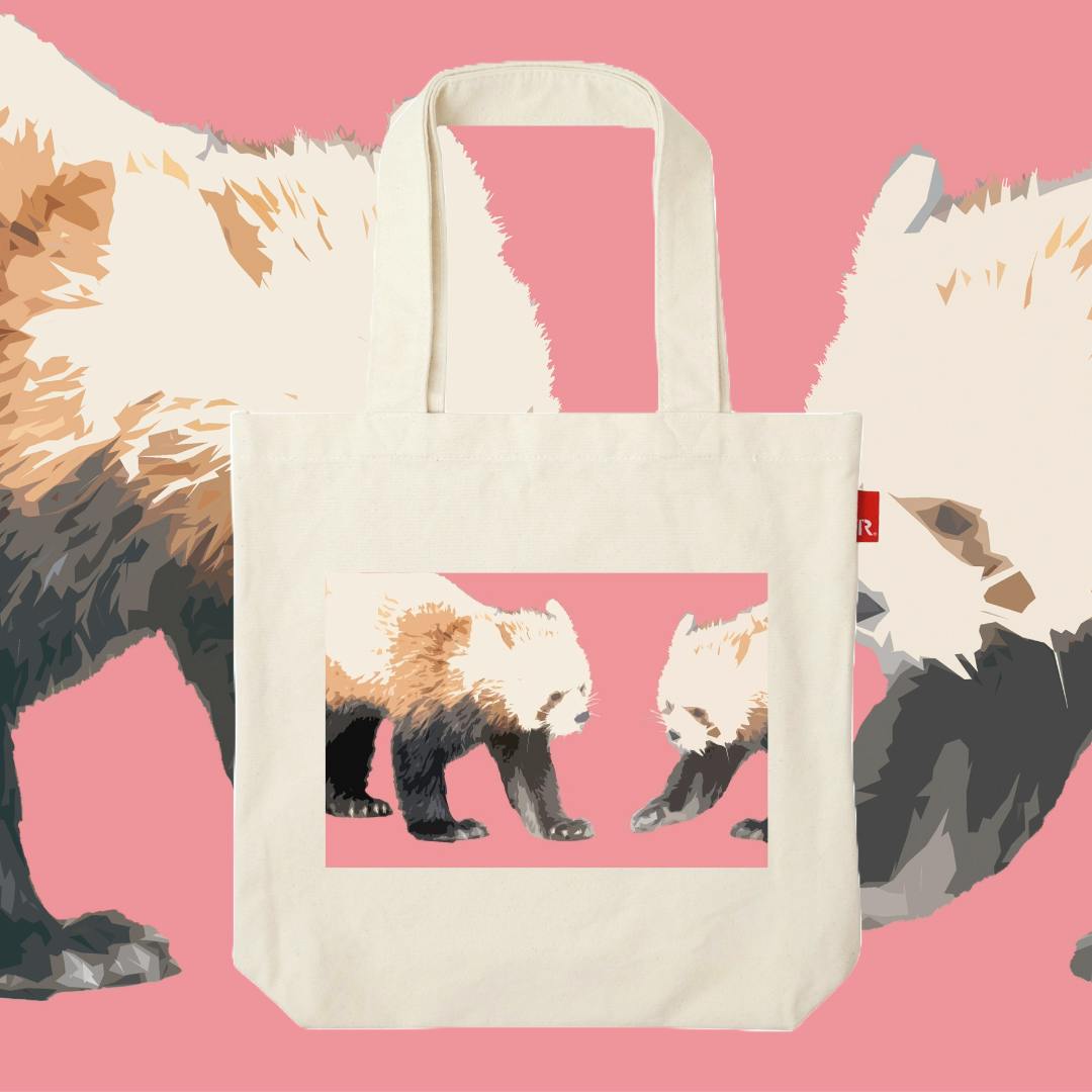 岡野慶 / Red panda / 062603