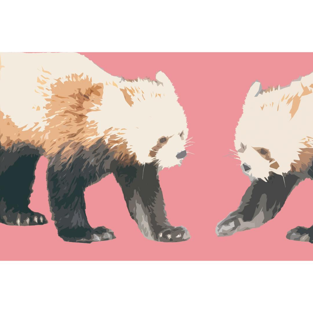 岡野慶 / Red panda / 062603