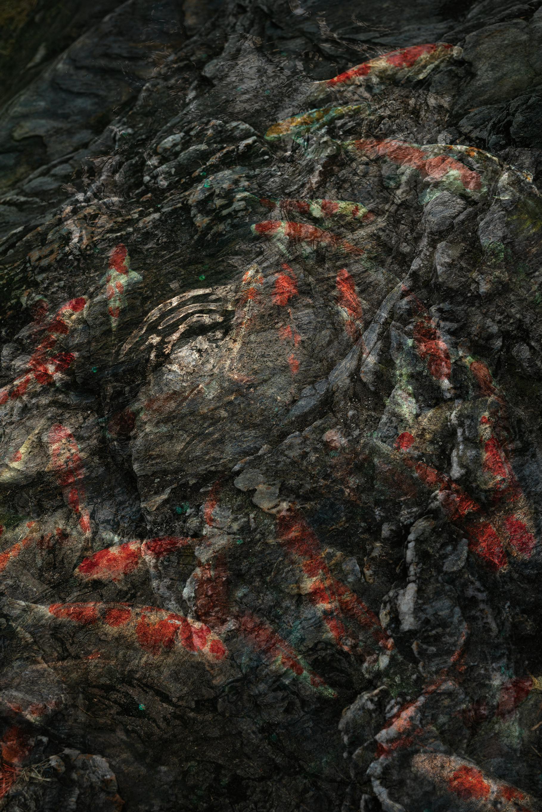 丹野 徹 / †Merry-Go-Round / 012401