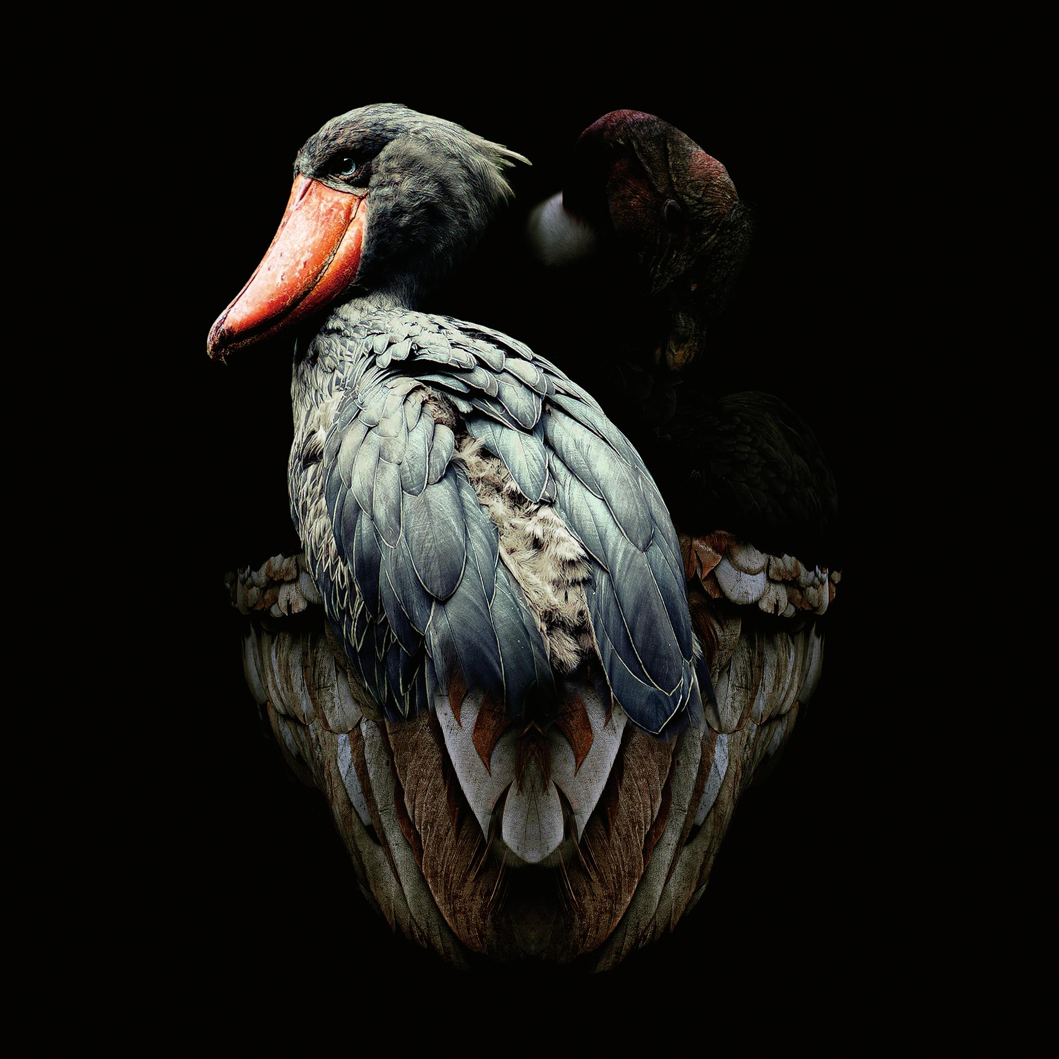 丹野 徹 / †The Judgment Is The Mirror / 012402