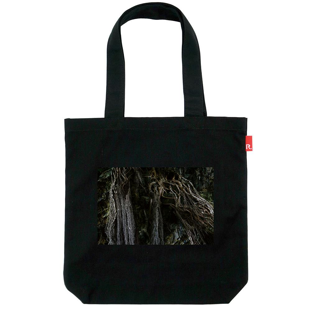 丹野 徹 / †New Dawn Fades / 012404