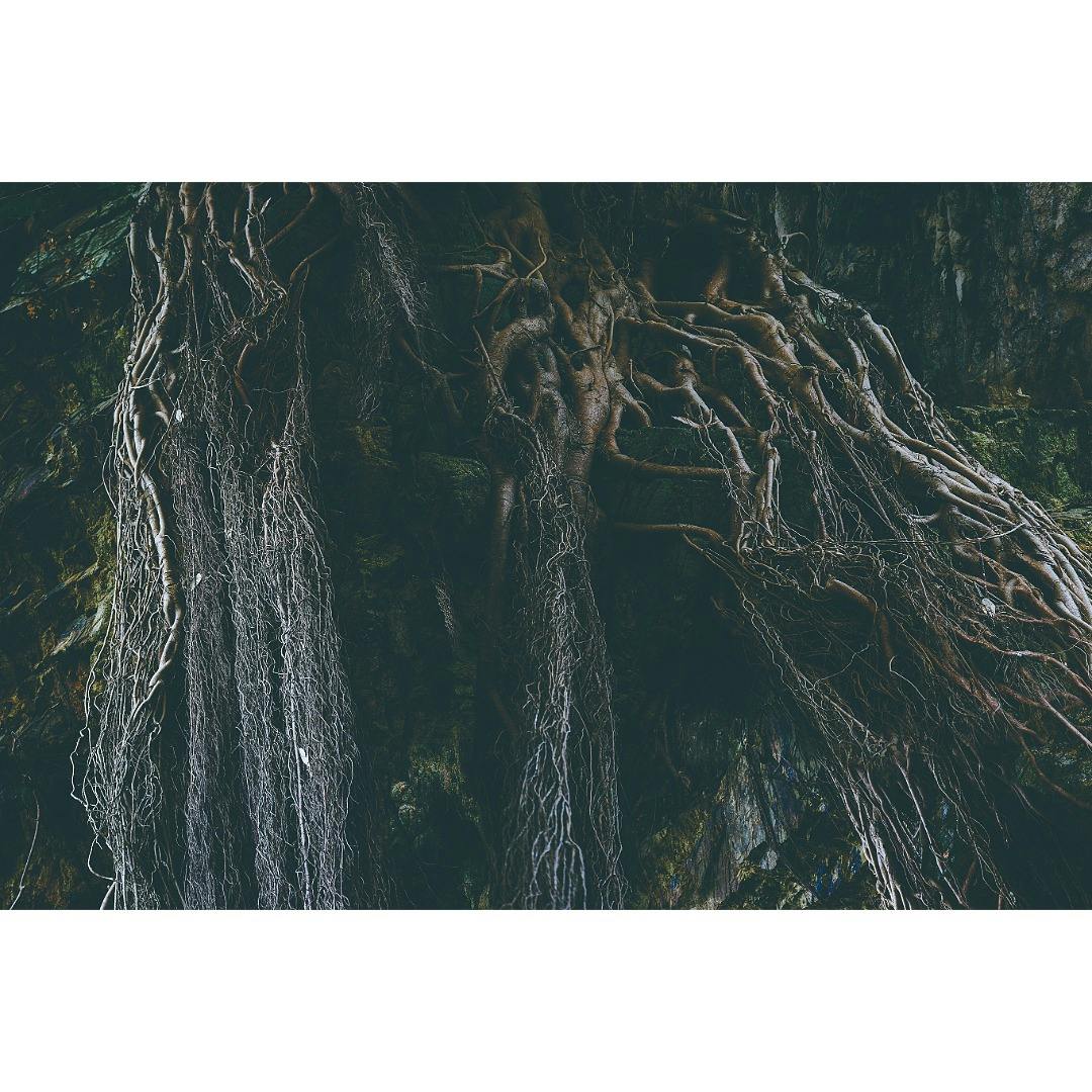 丹野 徹 / †New Dawn Fades / 012404