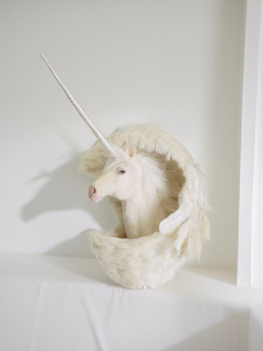 Crescent -Clad Alicorn : Guardian of Inner Silence
