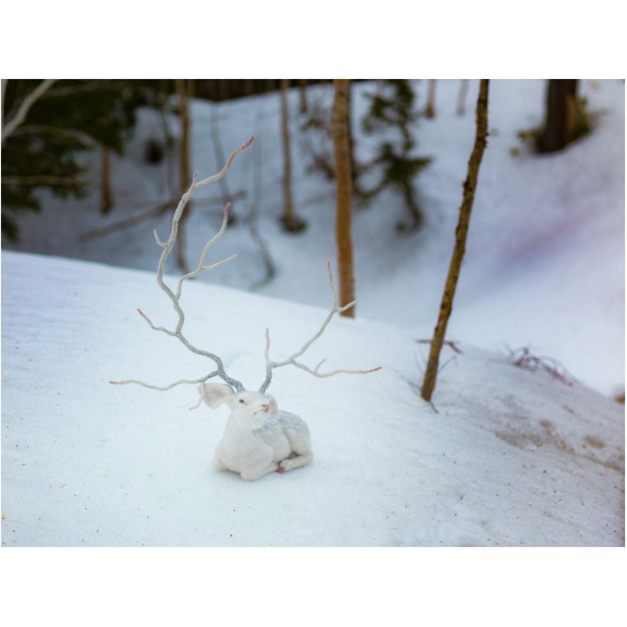 White Deer of Quiet Asymmetry -Guardian of Rebirth