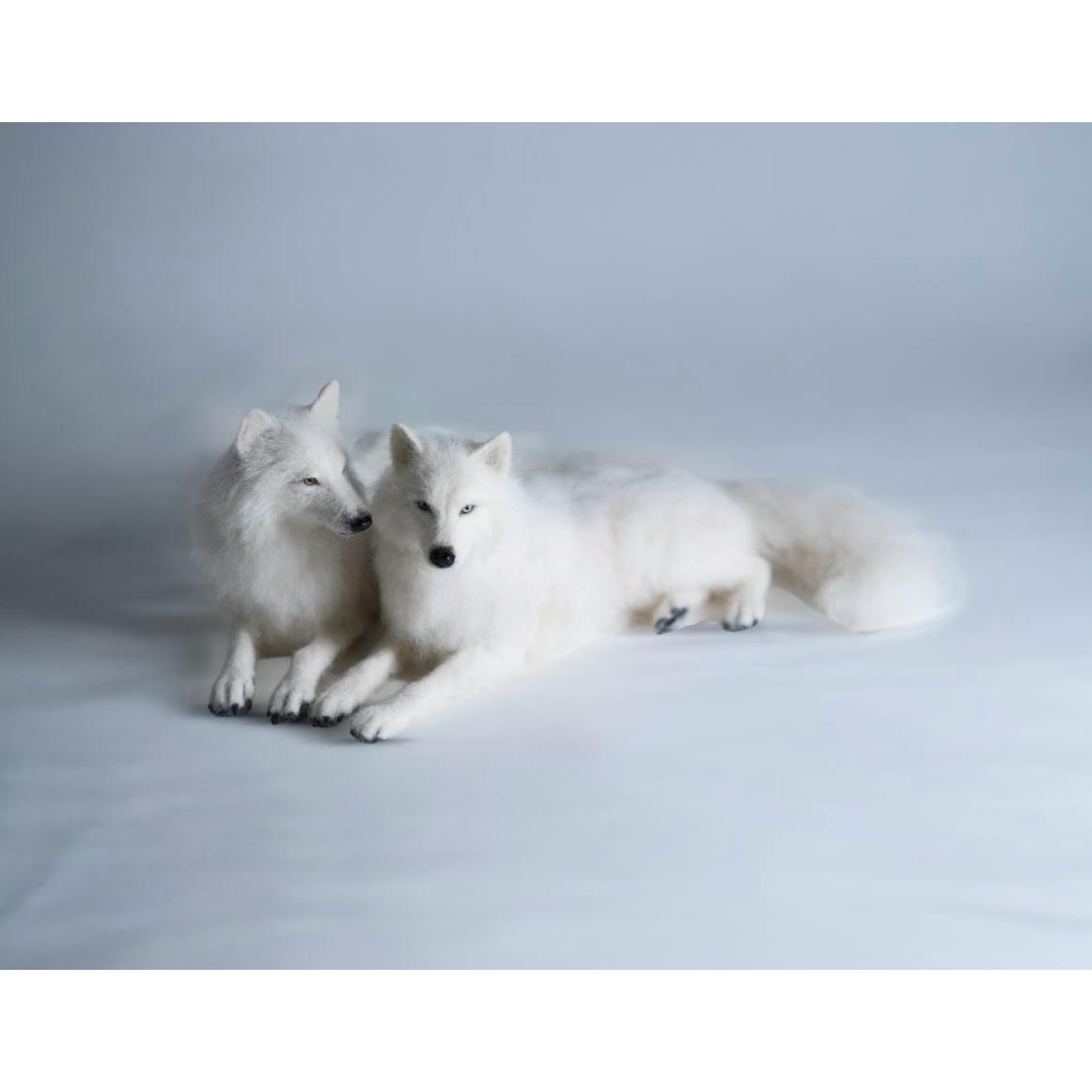 Guardians of Courage | White Wolf