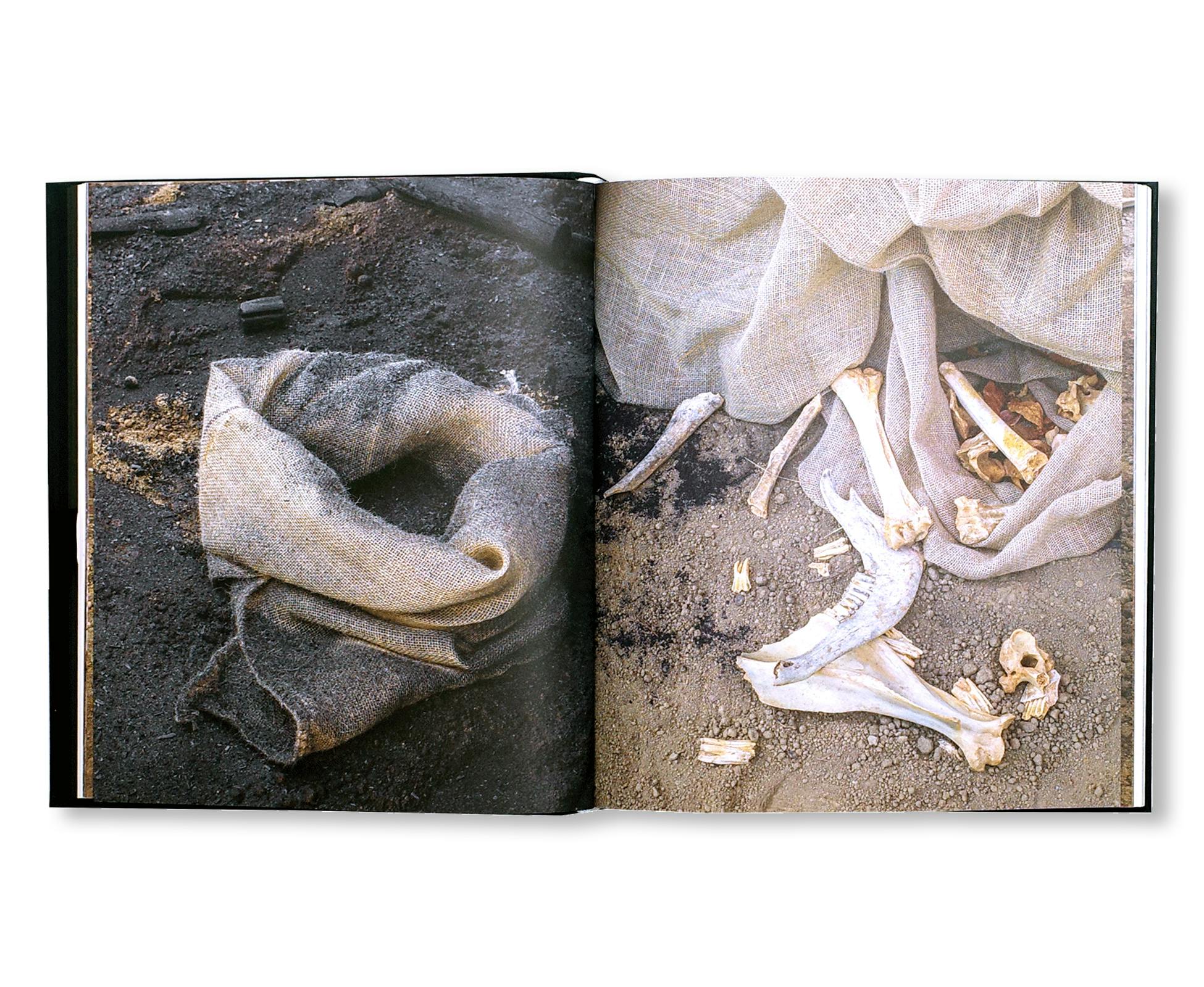 SOLANGE PESSOA (2023)