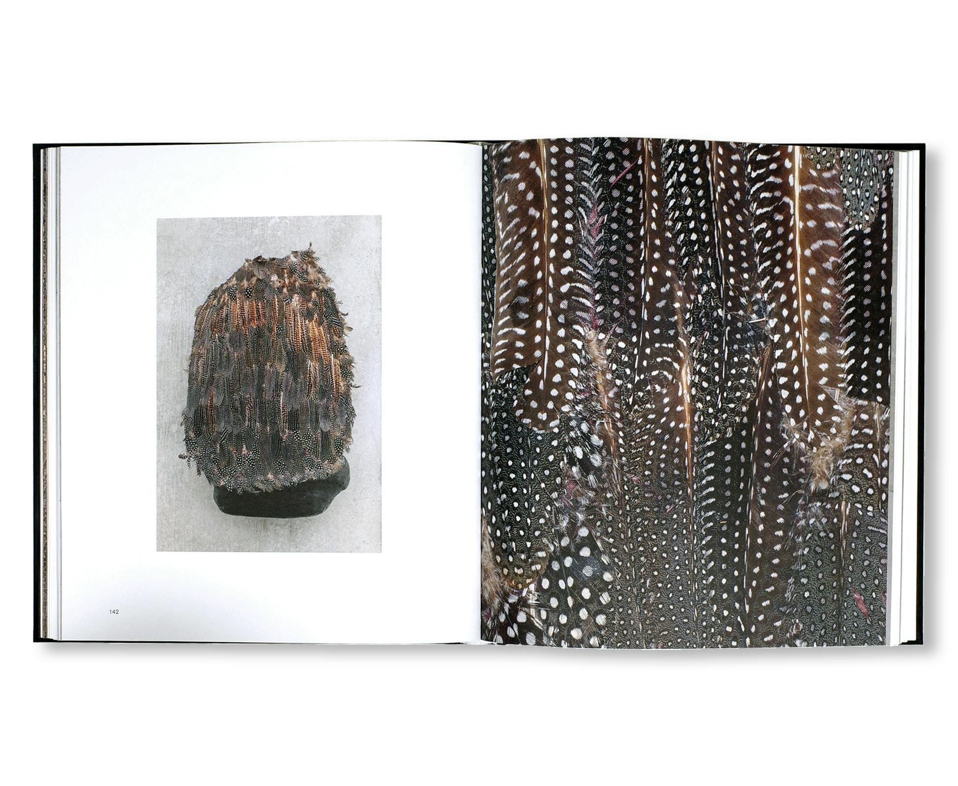 SOLANGE PESSOA (2023)